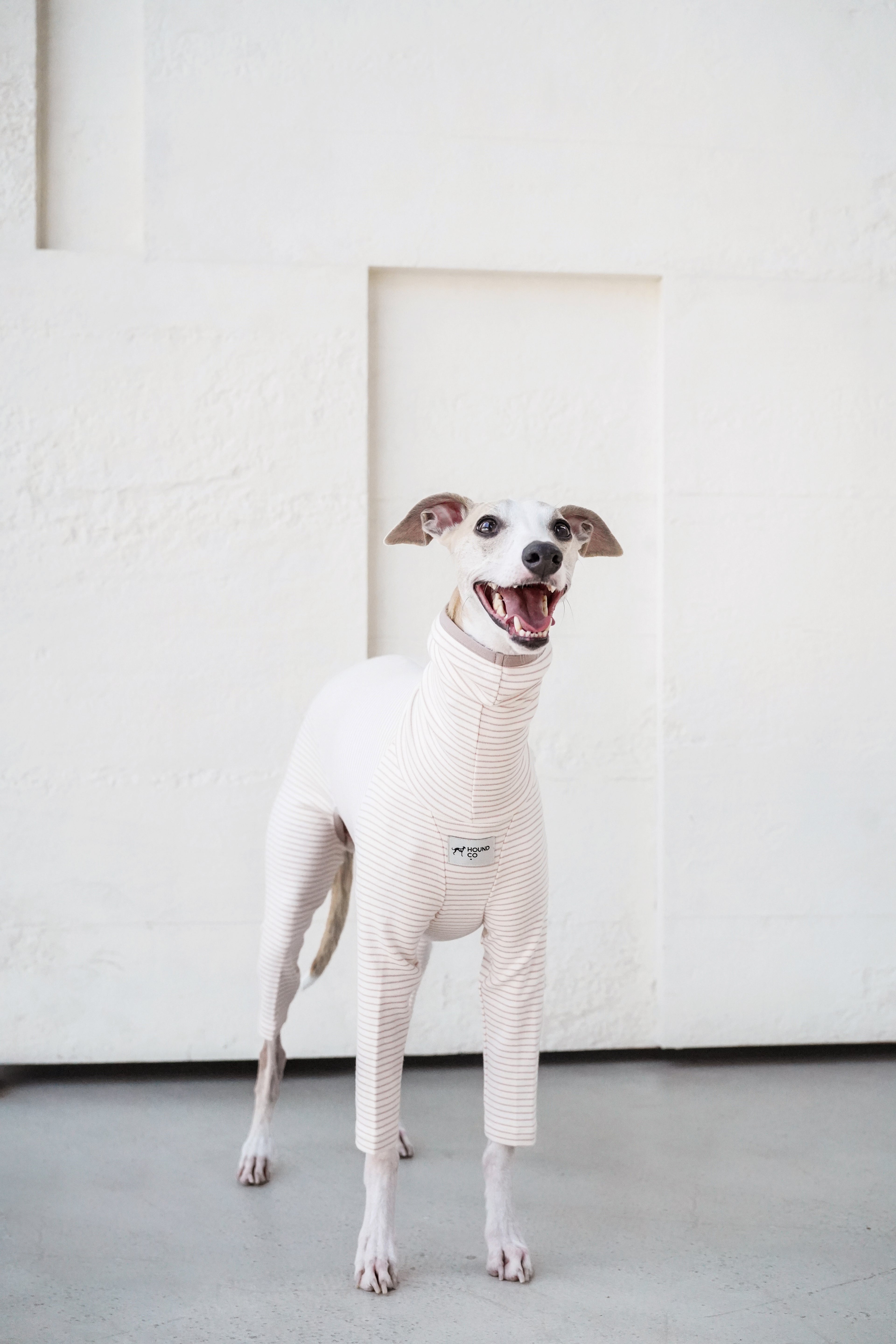 Sighthound cozy stripes onsie