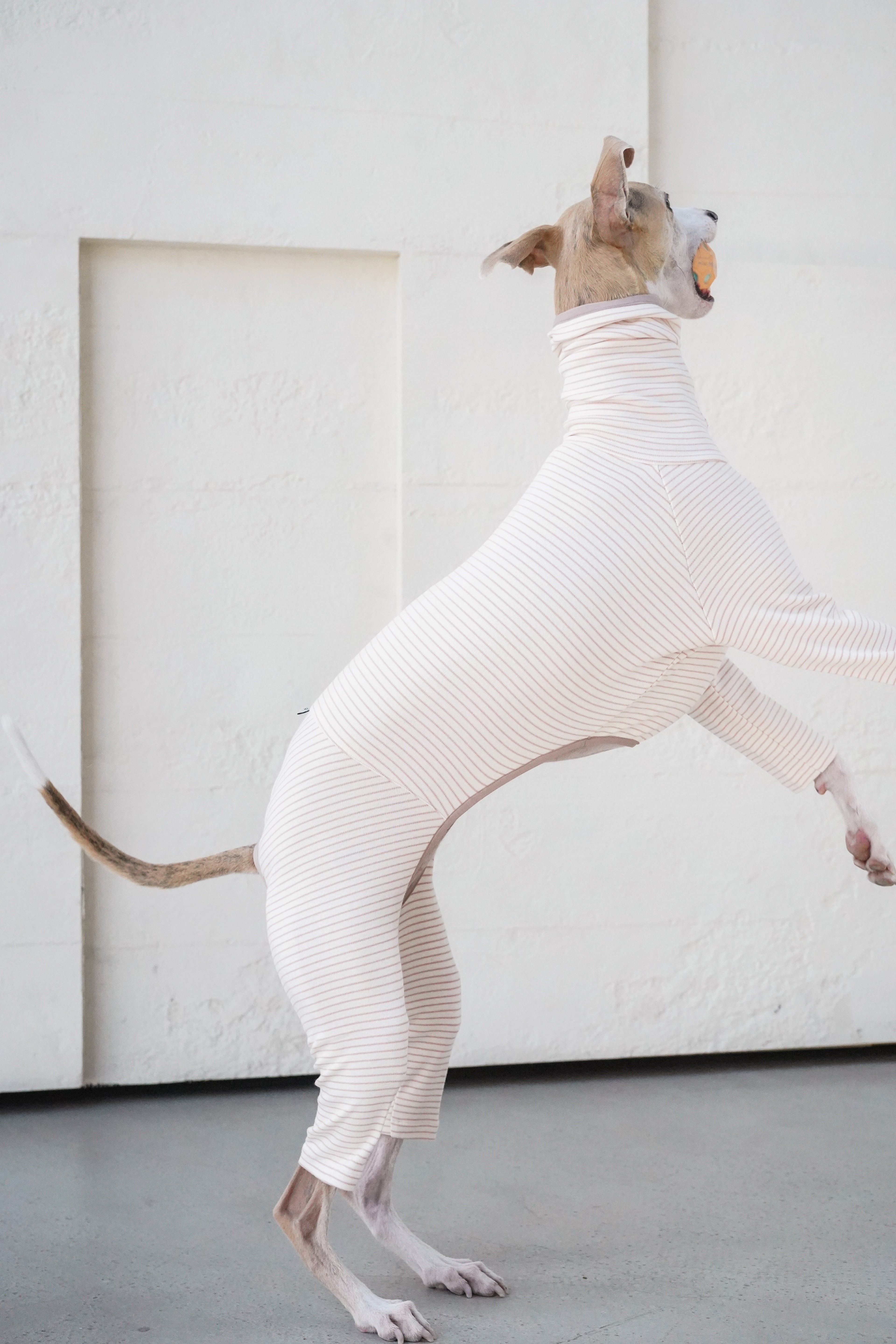 Sighthound cozy stripes onsie