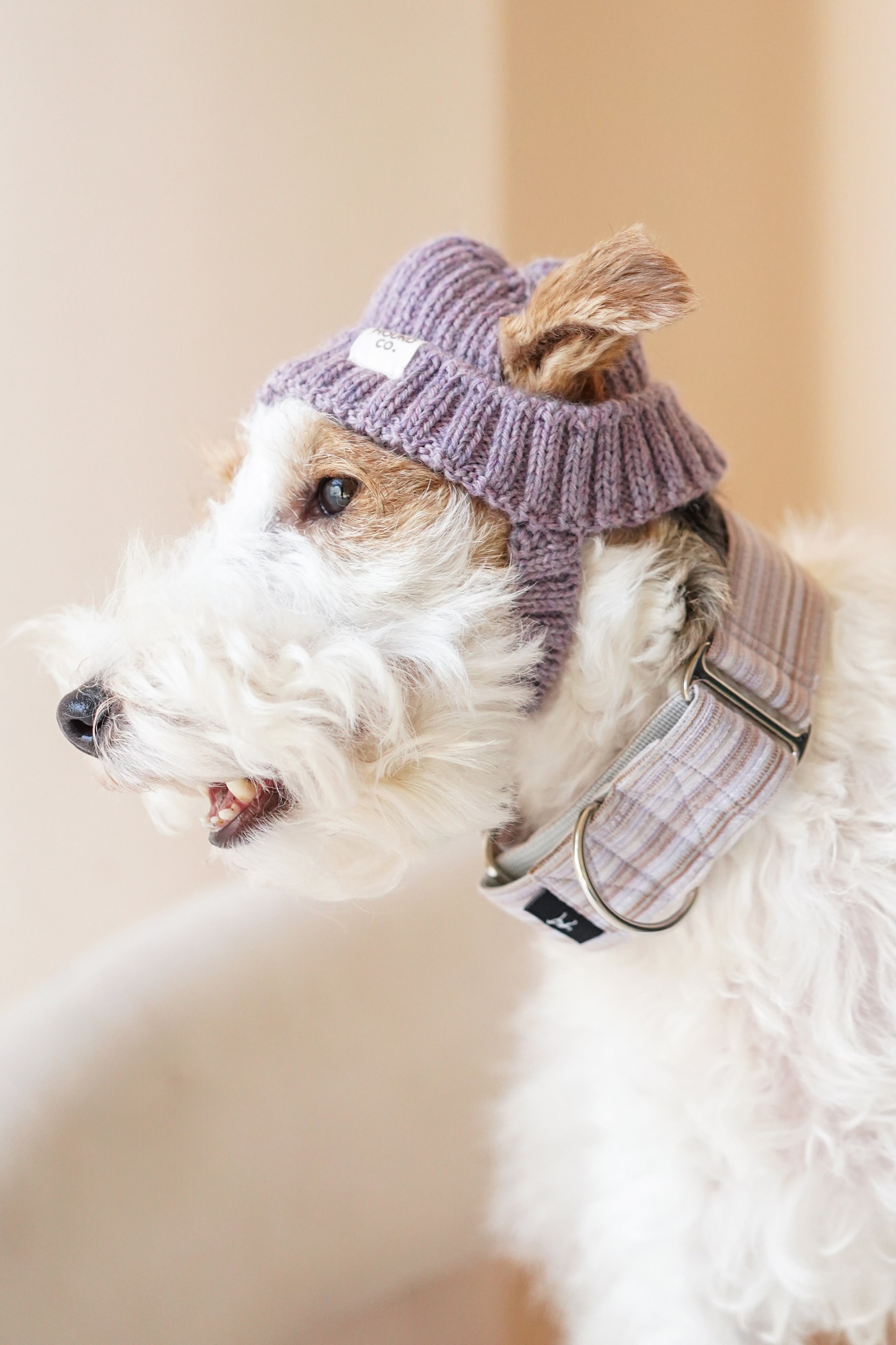 Wool knit hat「Lavender」