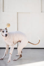 Sighthound cozy stripes onsie