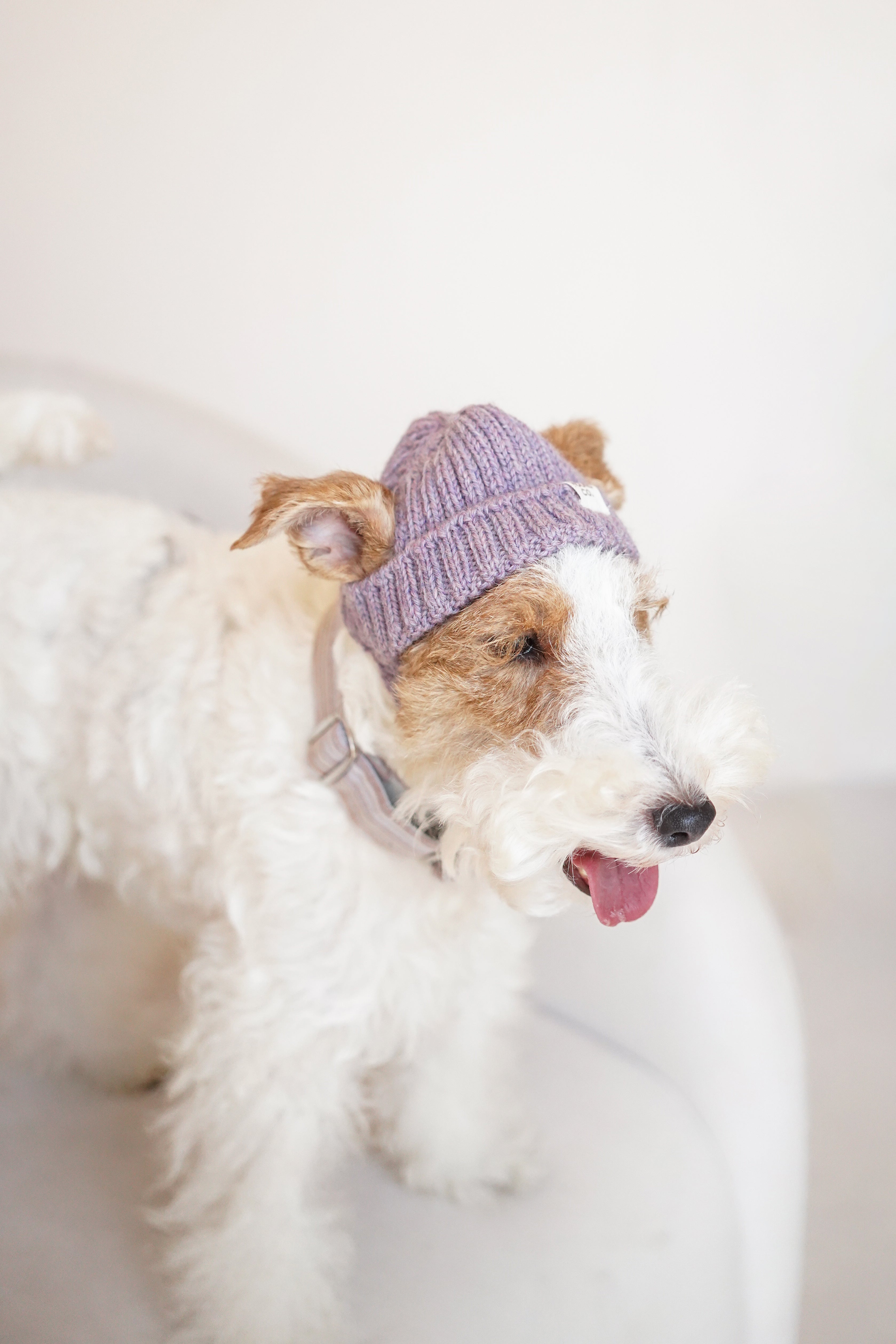 Wool knit hat「Lavender」