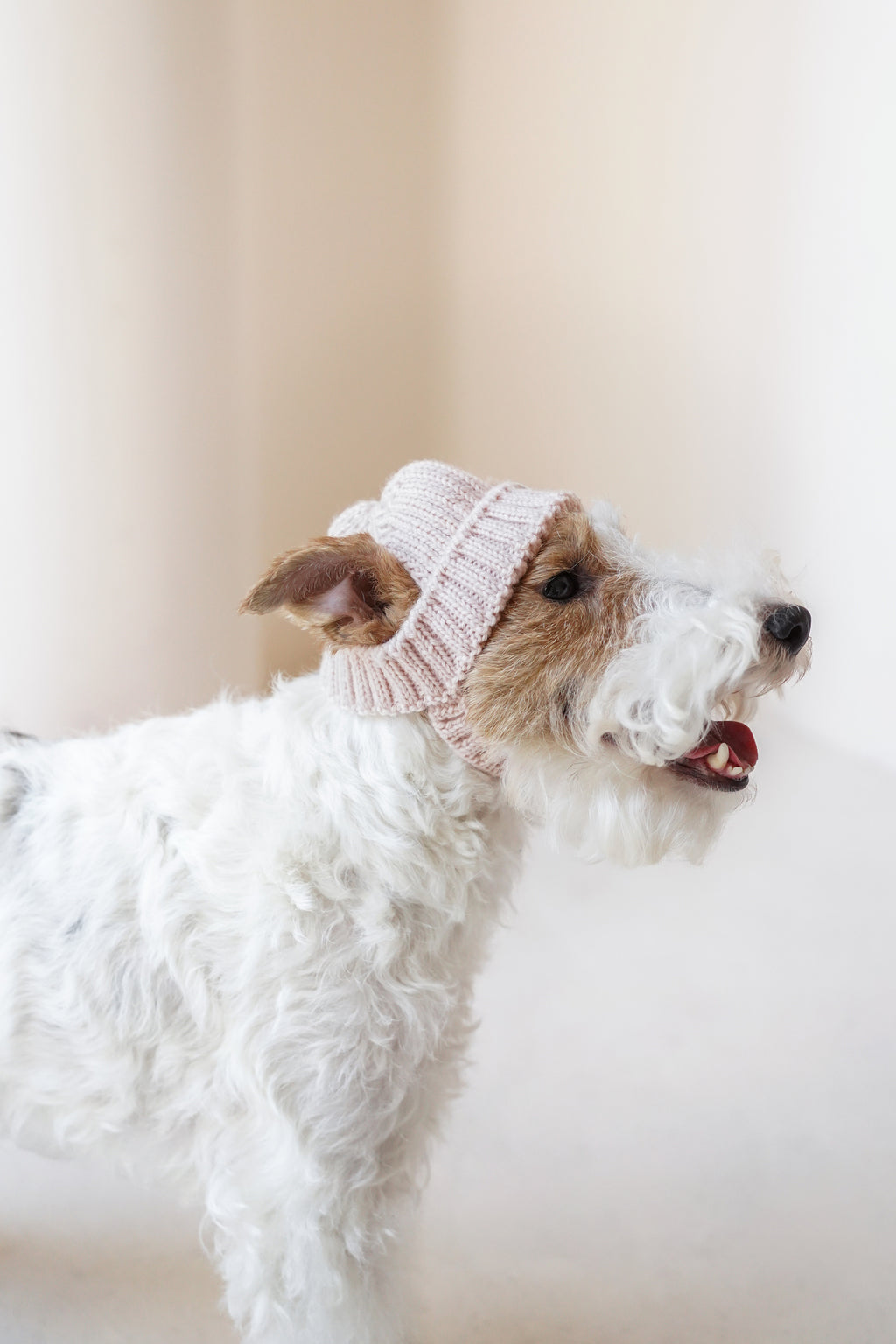 Wool knit hat「Blossom」