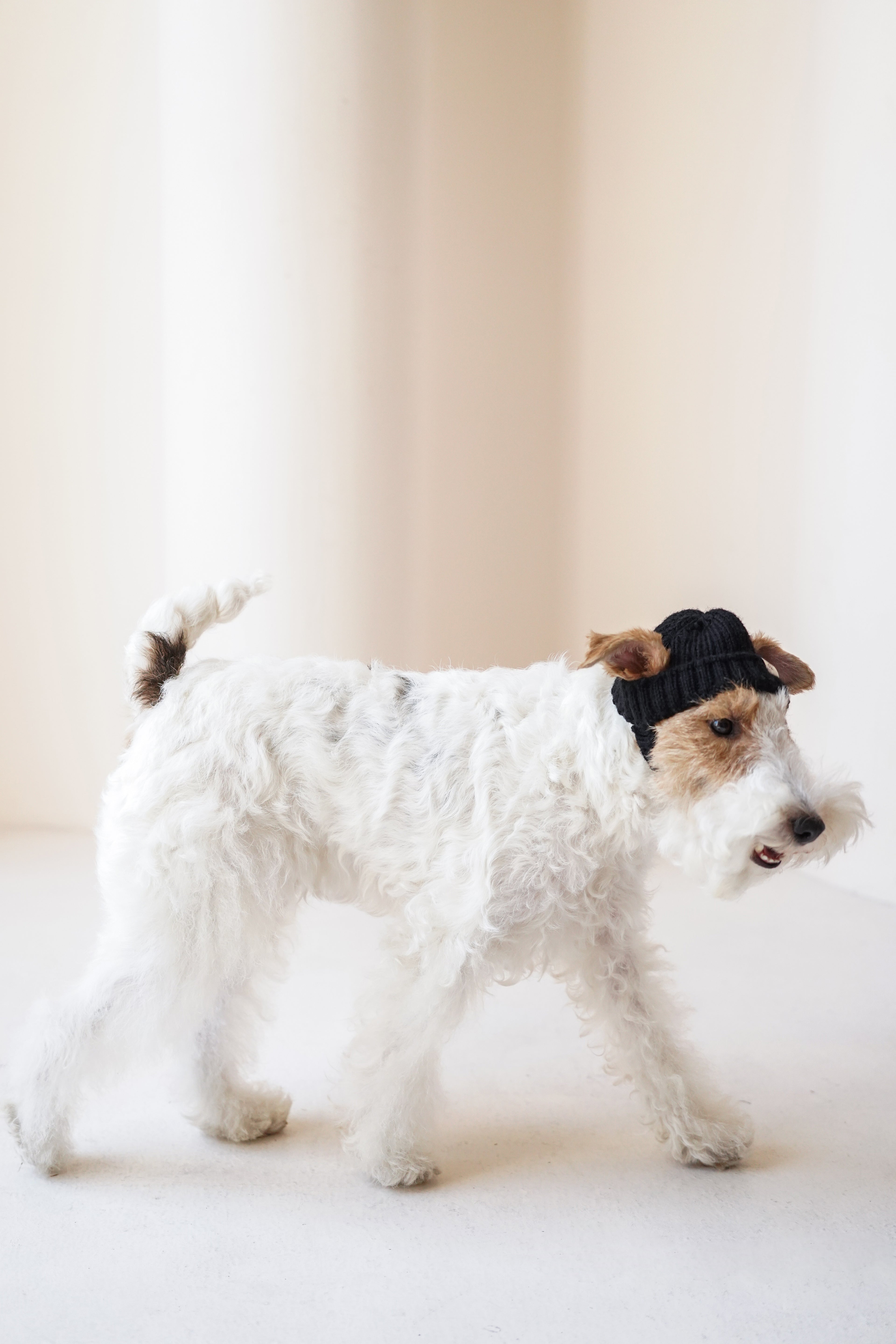 Wool knit hat「Ink Black」