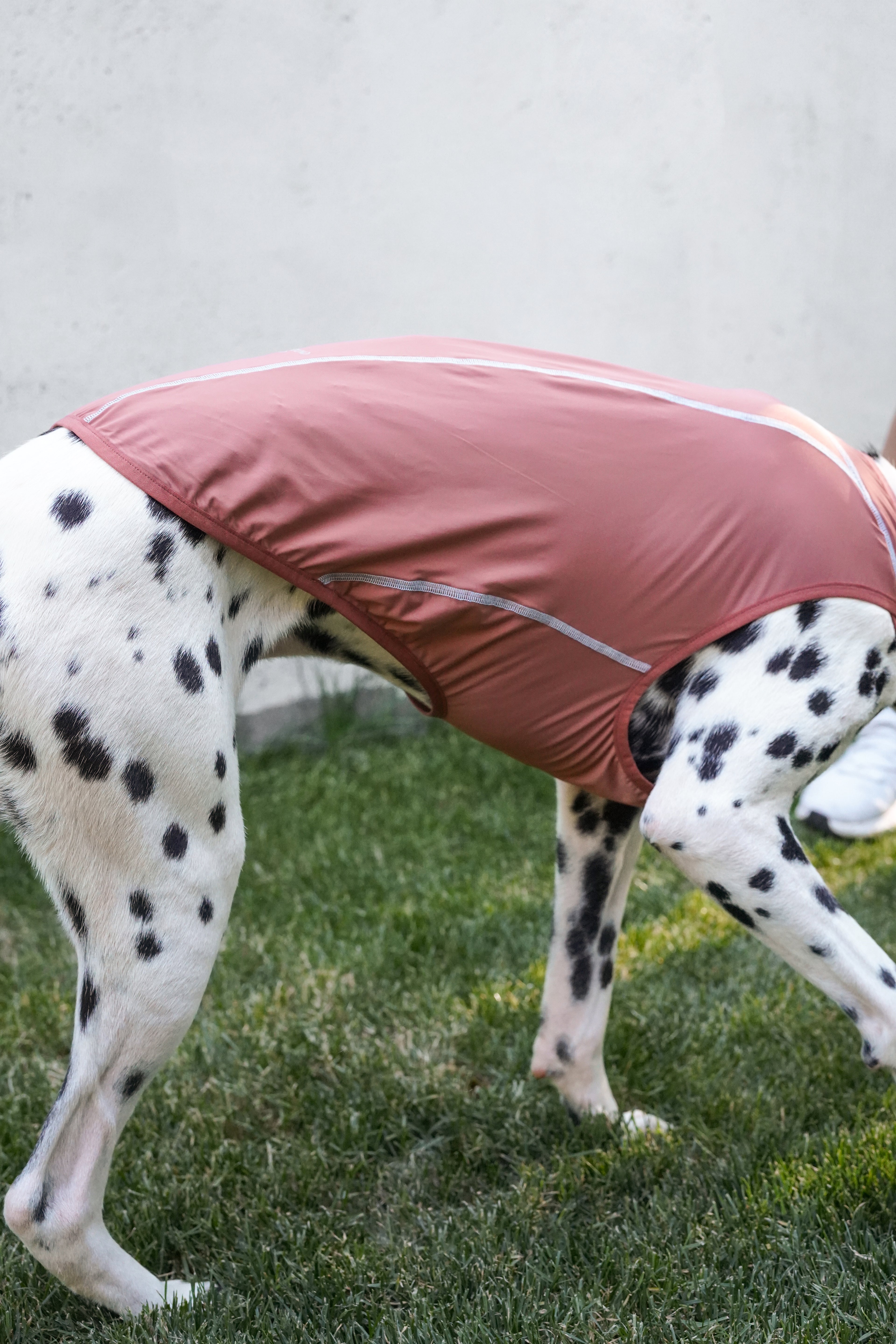 Quilted Cooling Vest