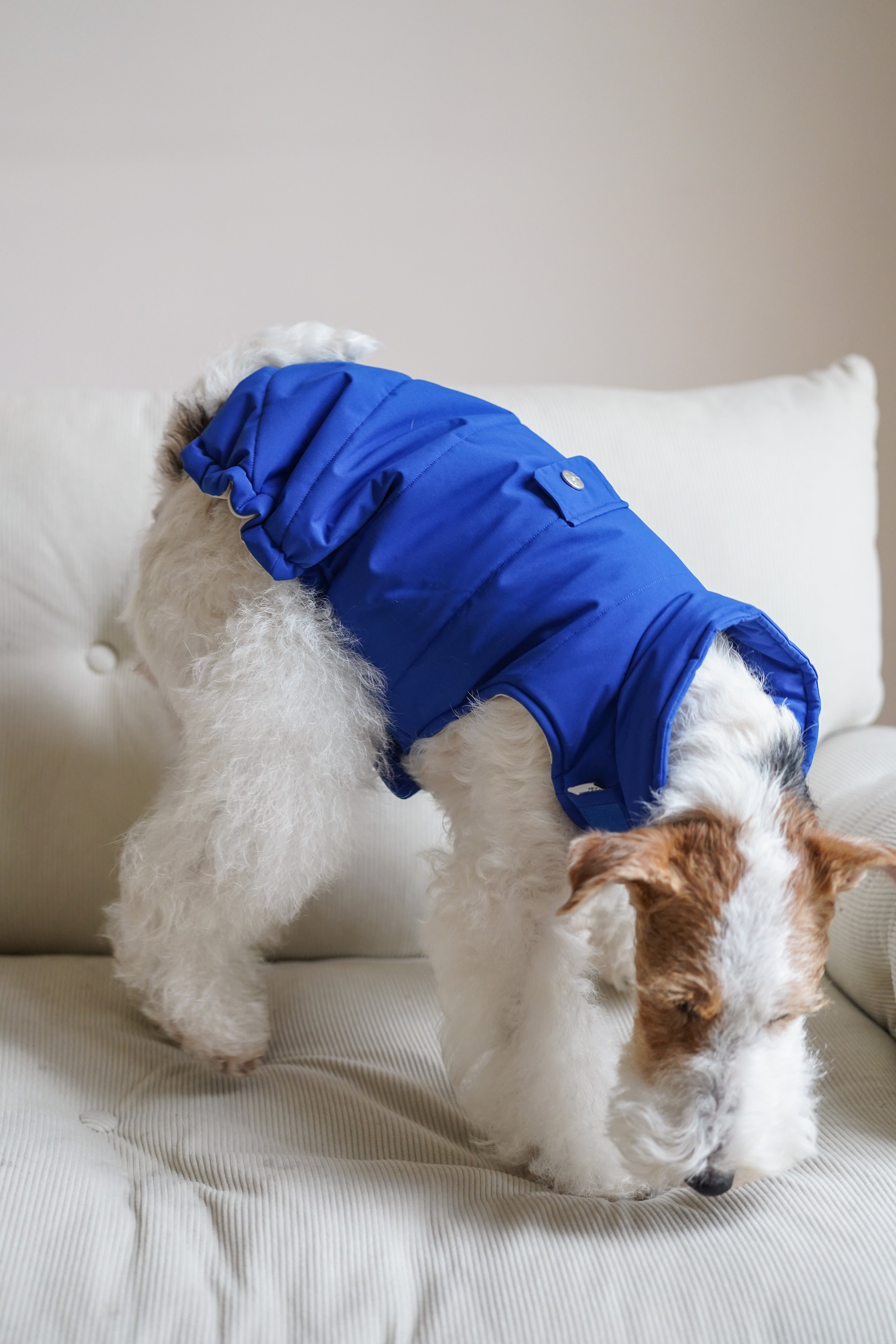 Easy on puffer for all breeds