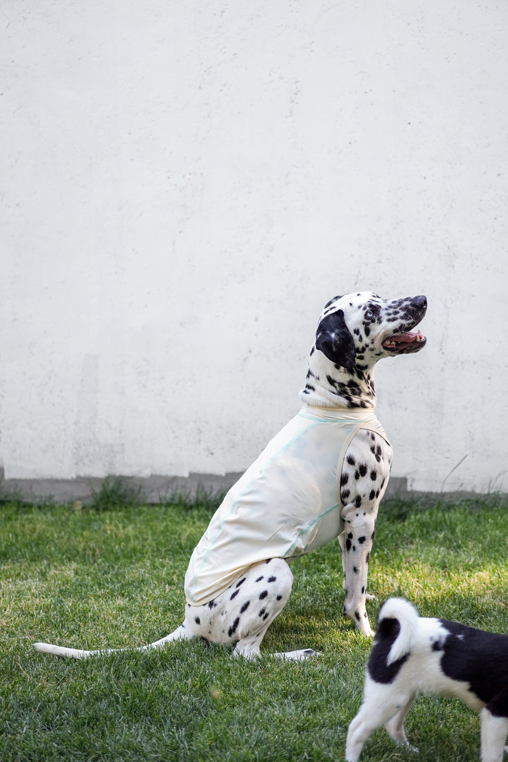Quilted Cooling Vest