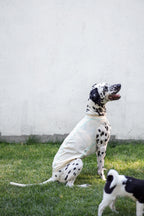 Quilted Cooling Vest