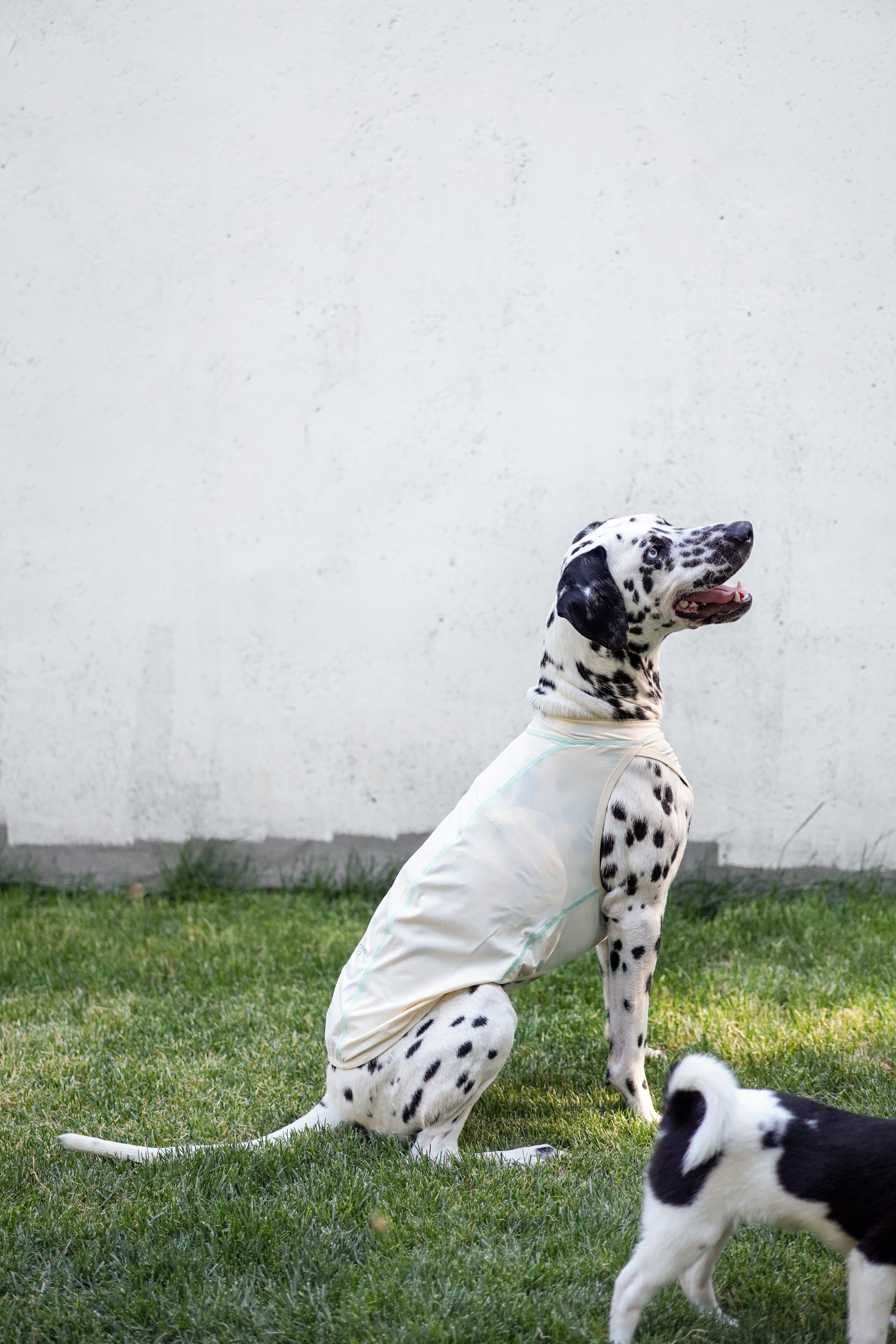 Quilted Cooling Vest