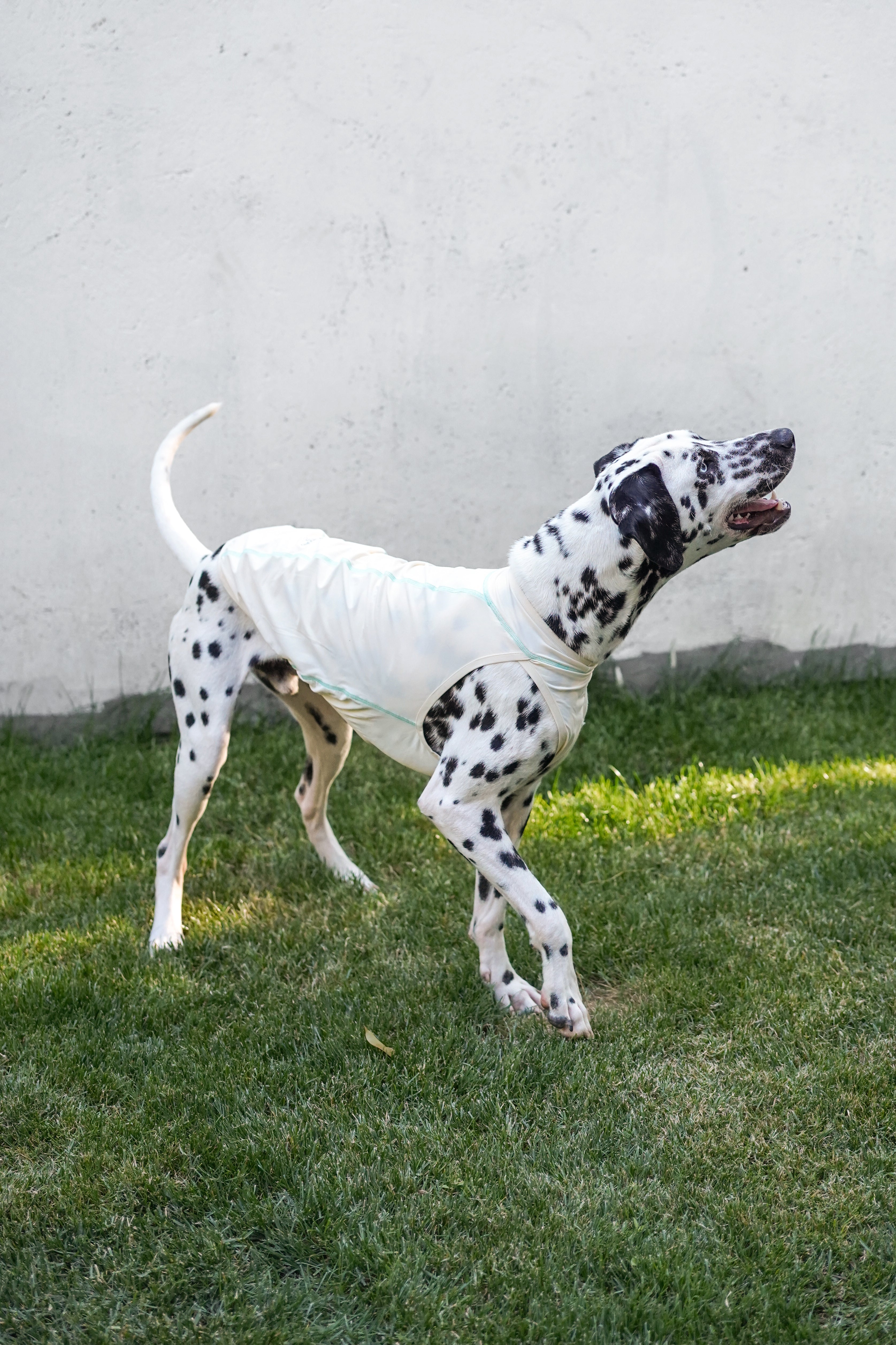 Quilted Cooling Vest