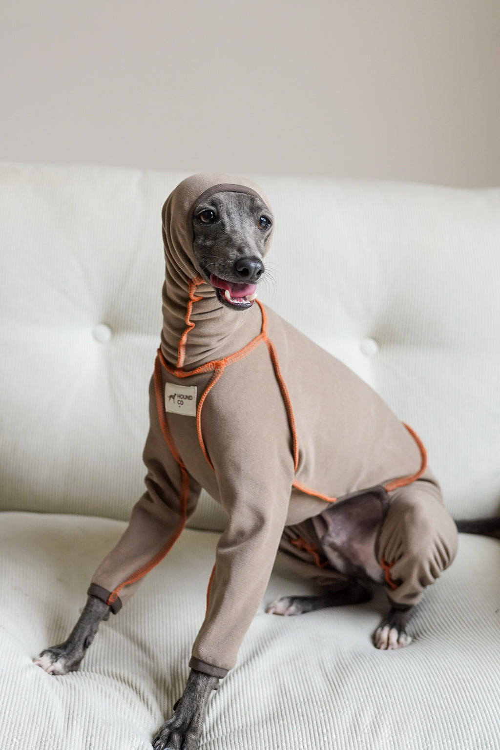 Seamless sighthound onsie