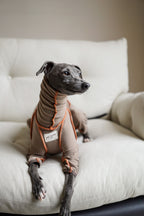 Seamless sighthound onsie