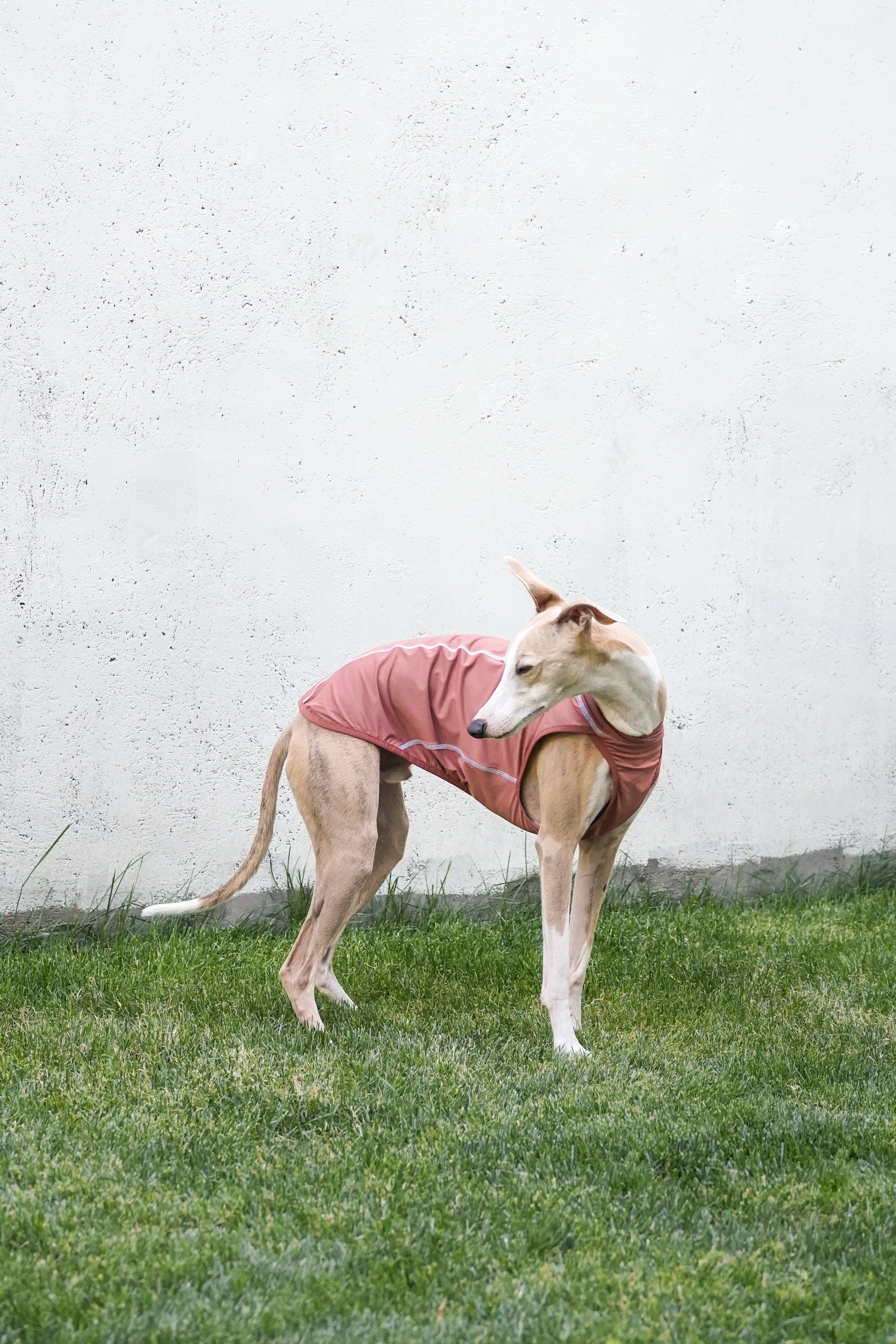 Quilted Cooling Vest