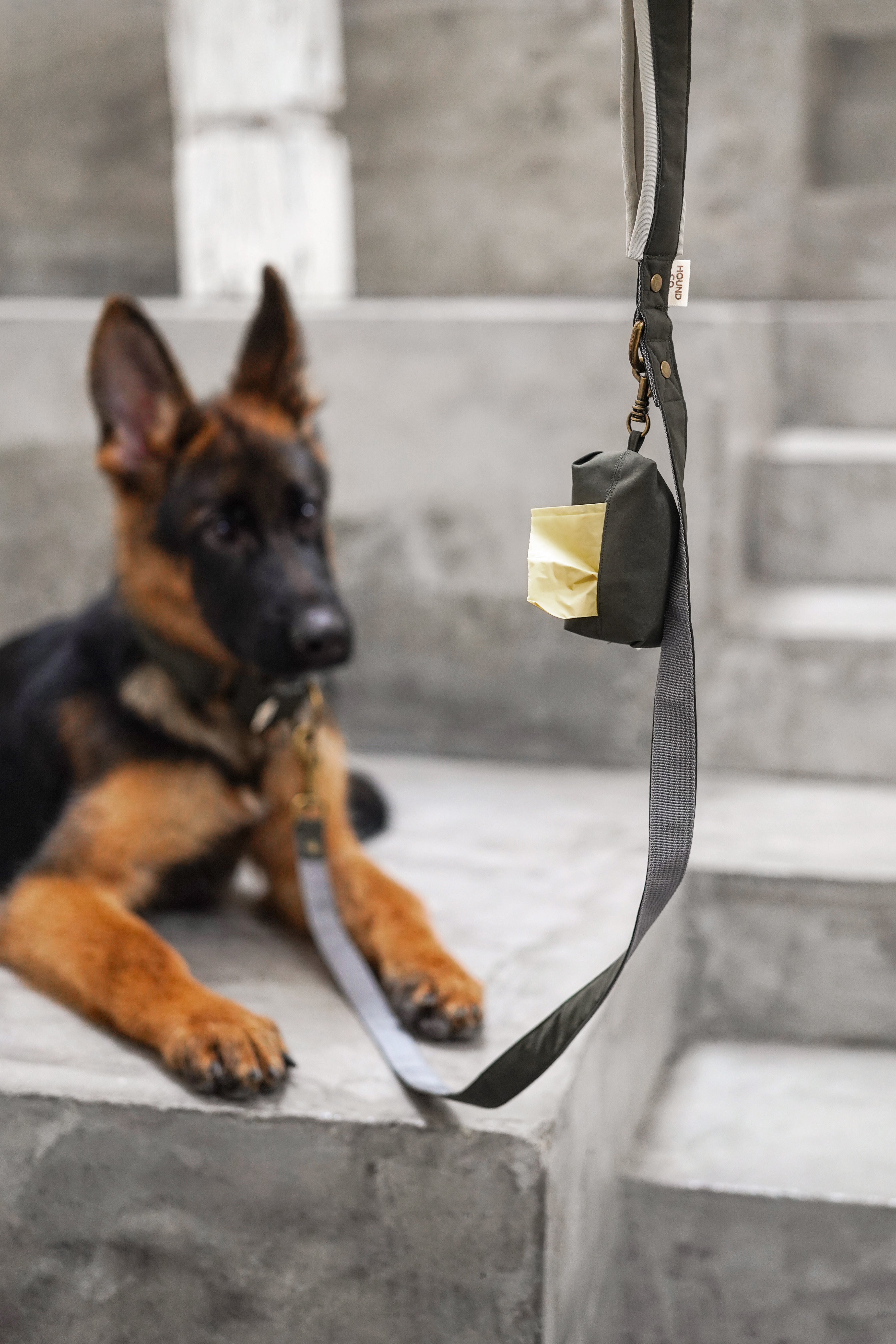 Everyday Collection Poop bag holder