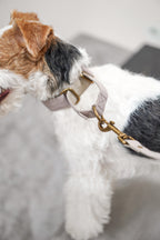 Everyday Collection Poop bag holder