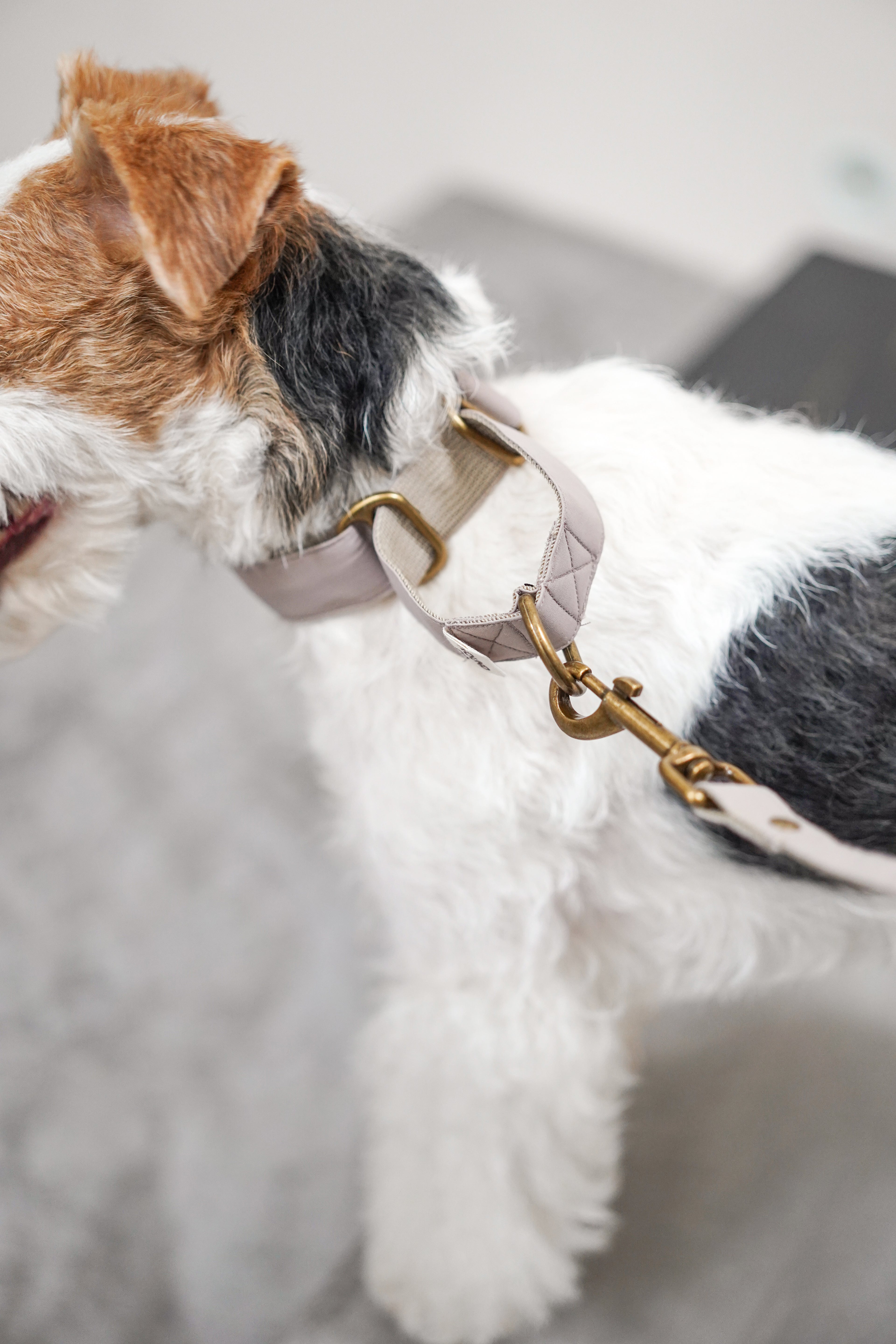 Everyday Collection Poop bag holder