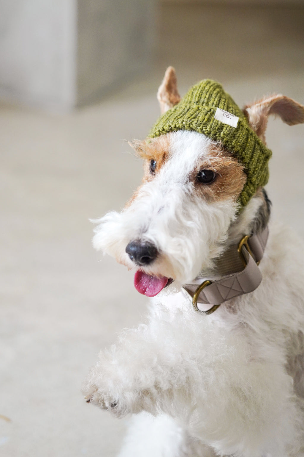 Wool knit hat「Juniper」