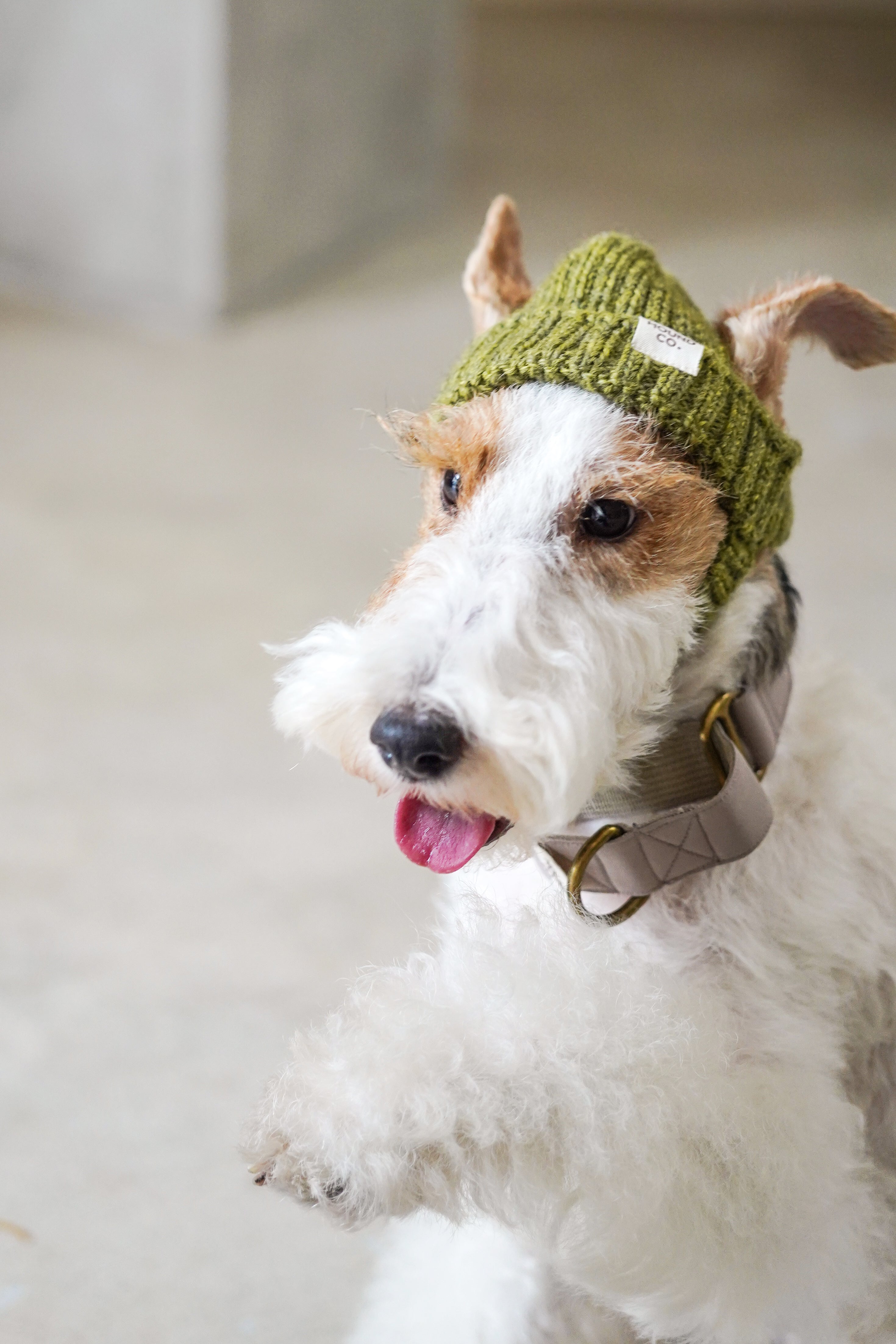 Wool knit hat「Juniper」