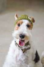 Wool knit hat「Juniper」