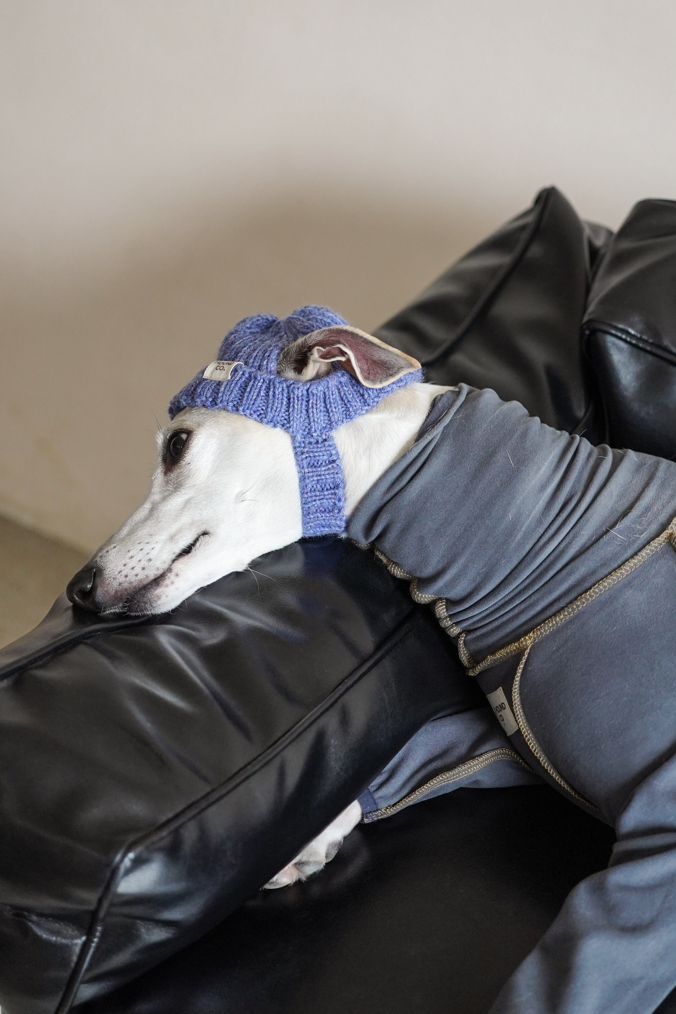 Wool knit hat「French Blue」