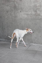 Quilted Cooling Onesie