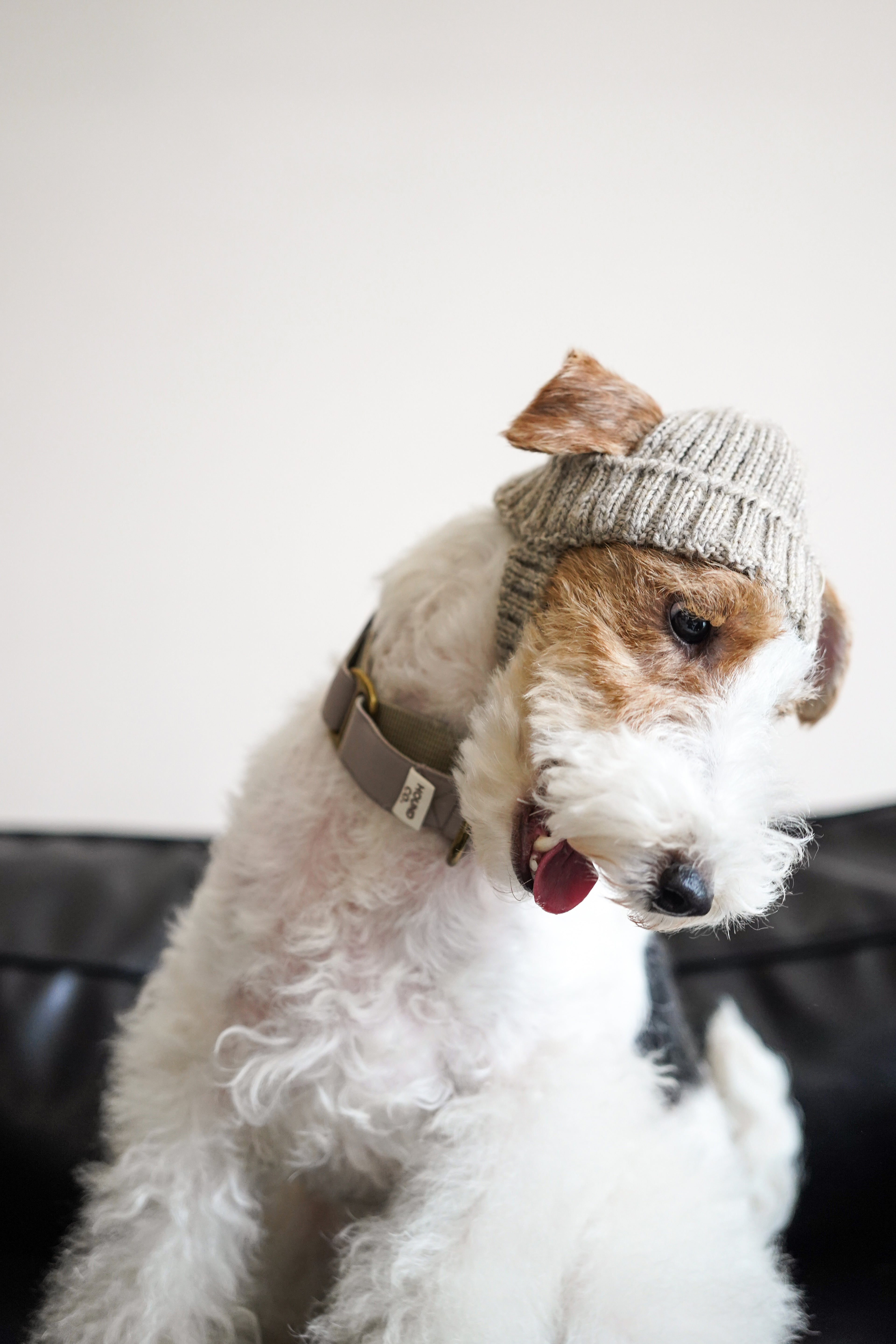 Wool knit hat「Oat」