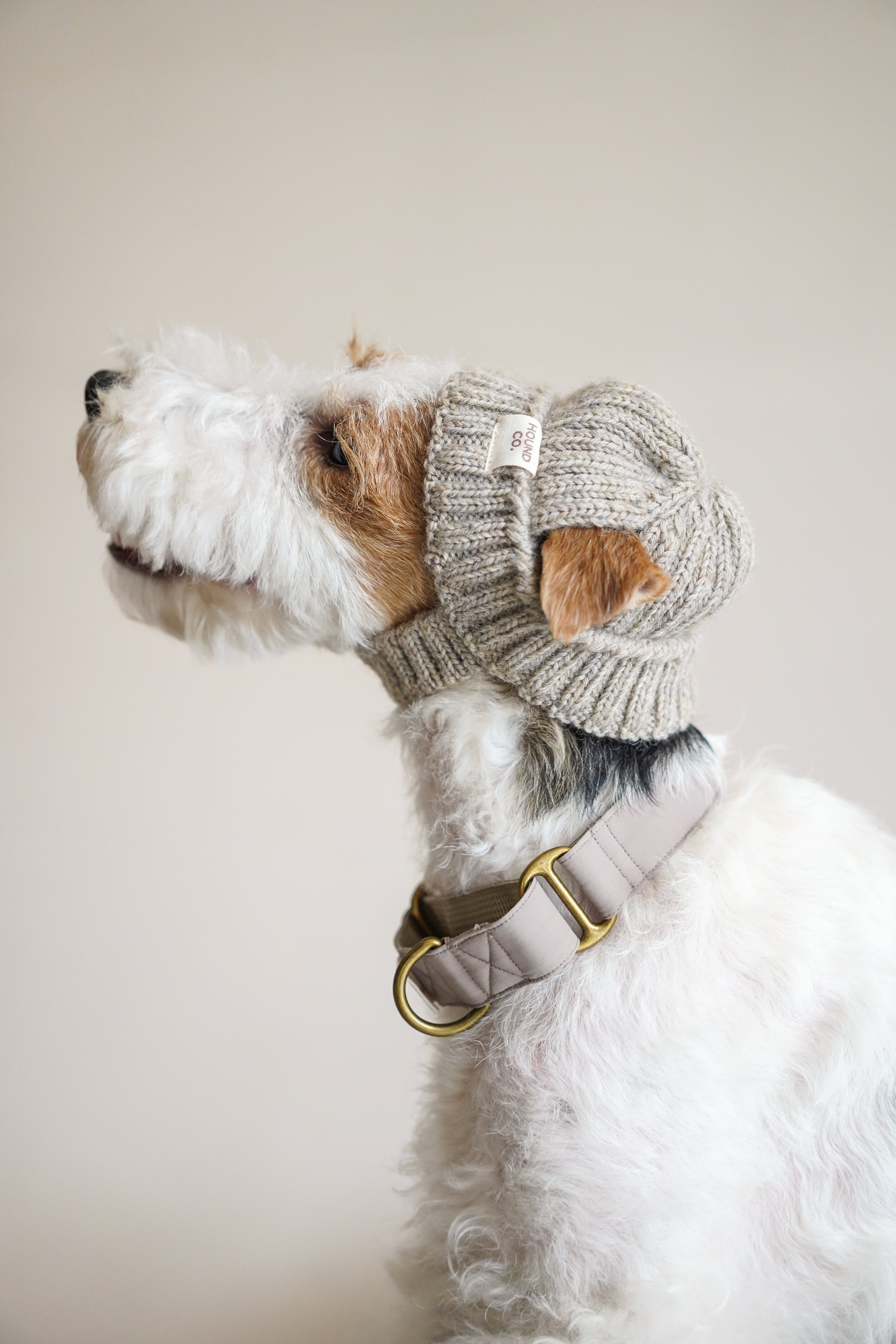 Wool knit hat「Oat」