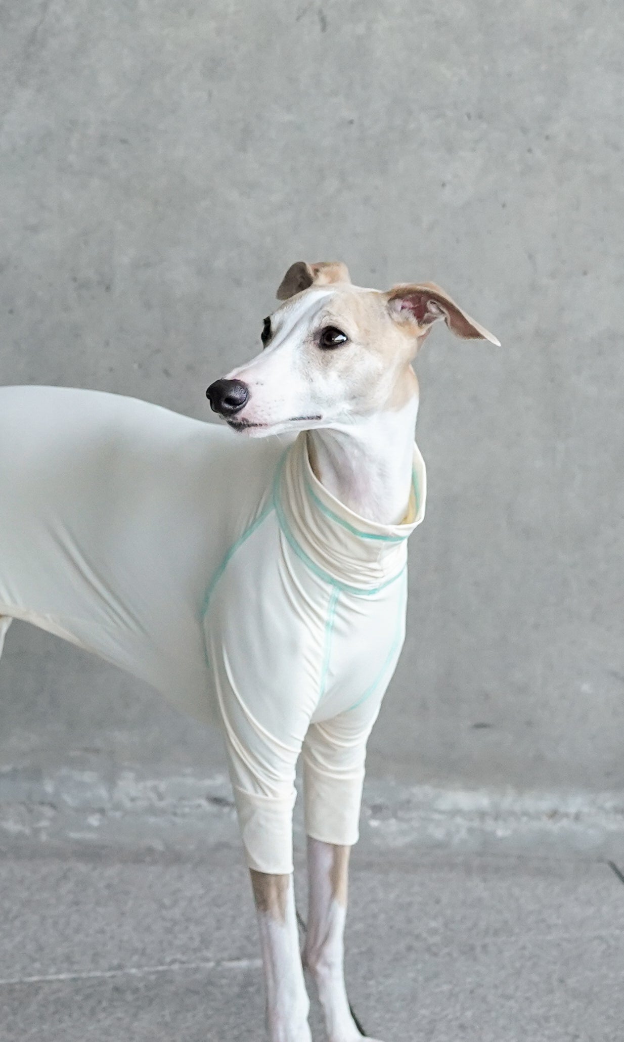 Quilted Cooling Onesie