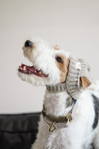Wool knit hat「Oat」