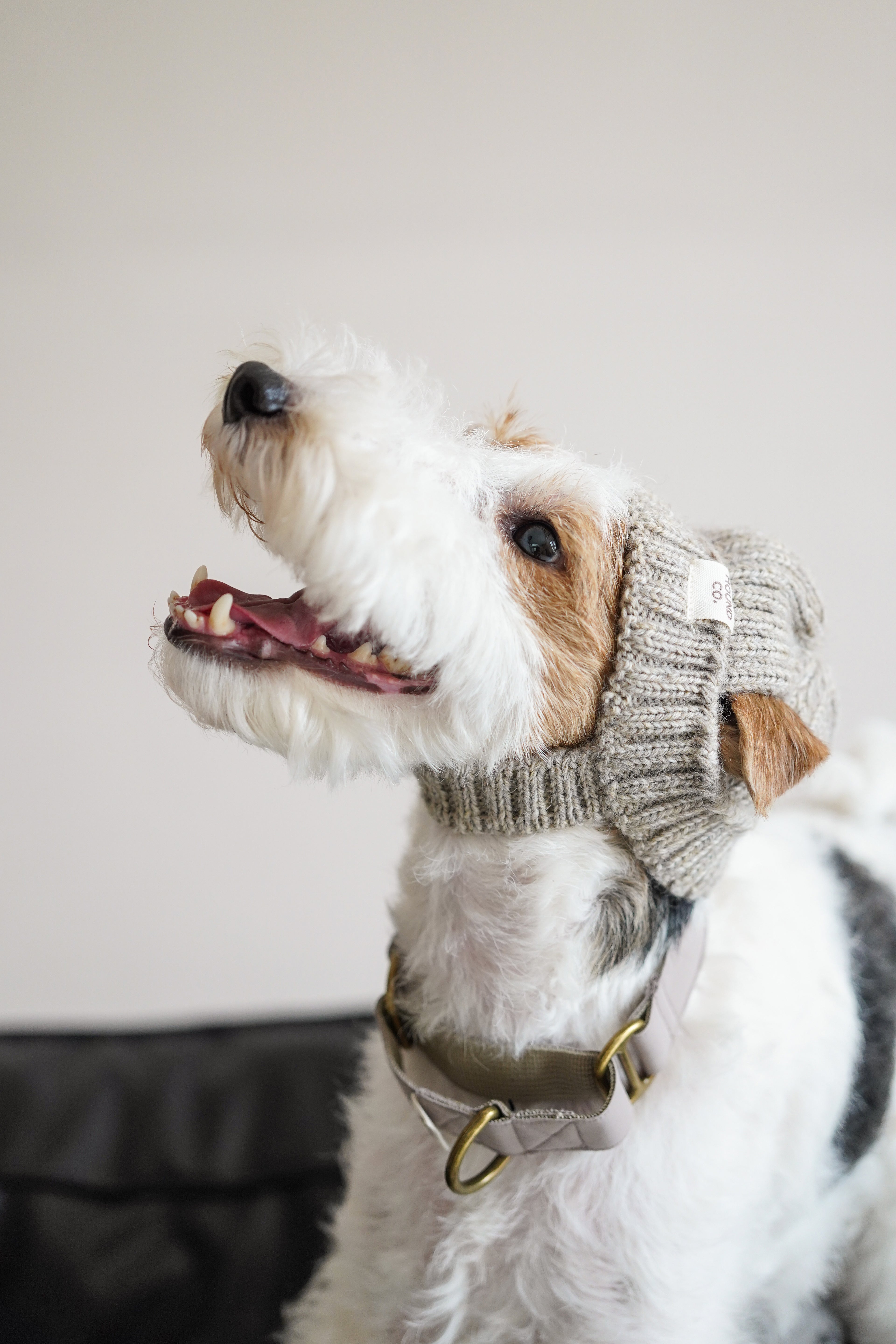 Wool knit hat「Oat」