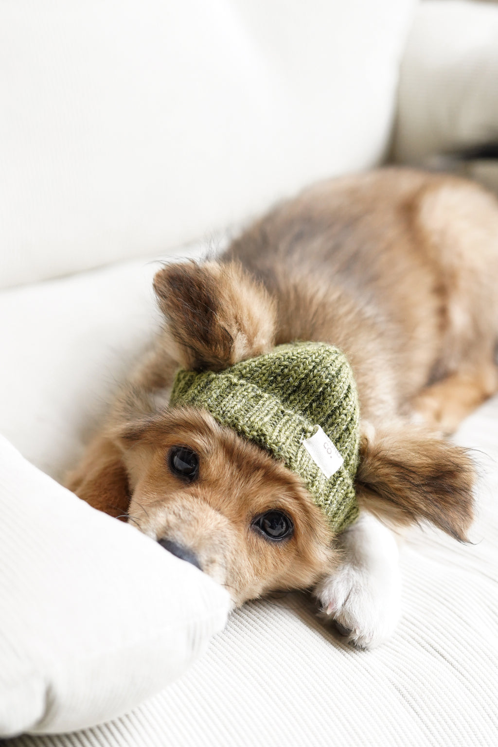 Wool knit hat「Juniper」