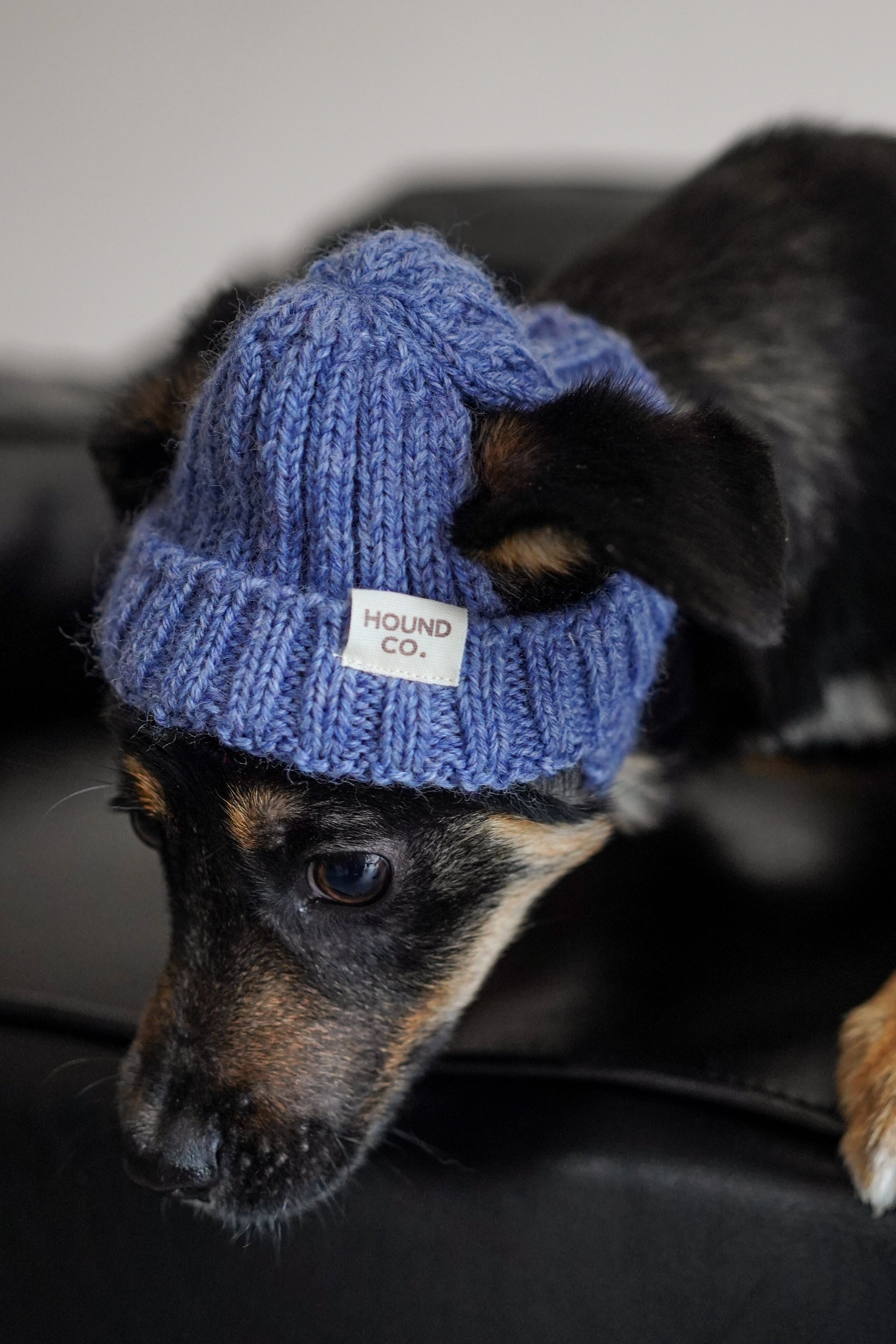 Wool knit hat「French Blue」