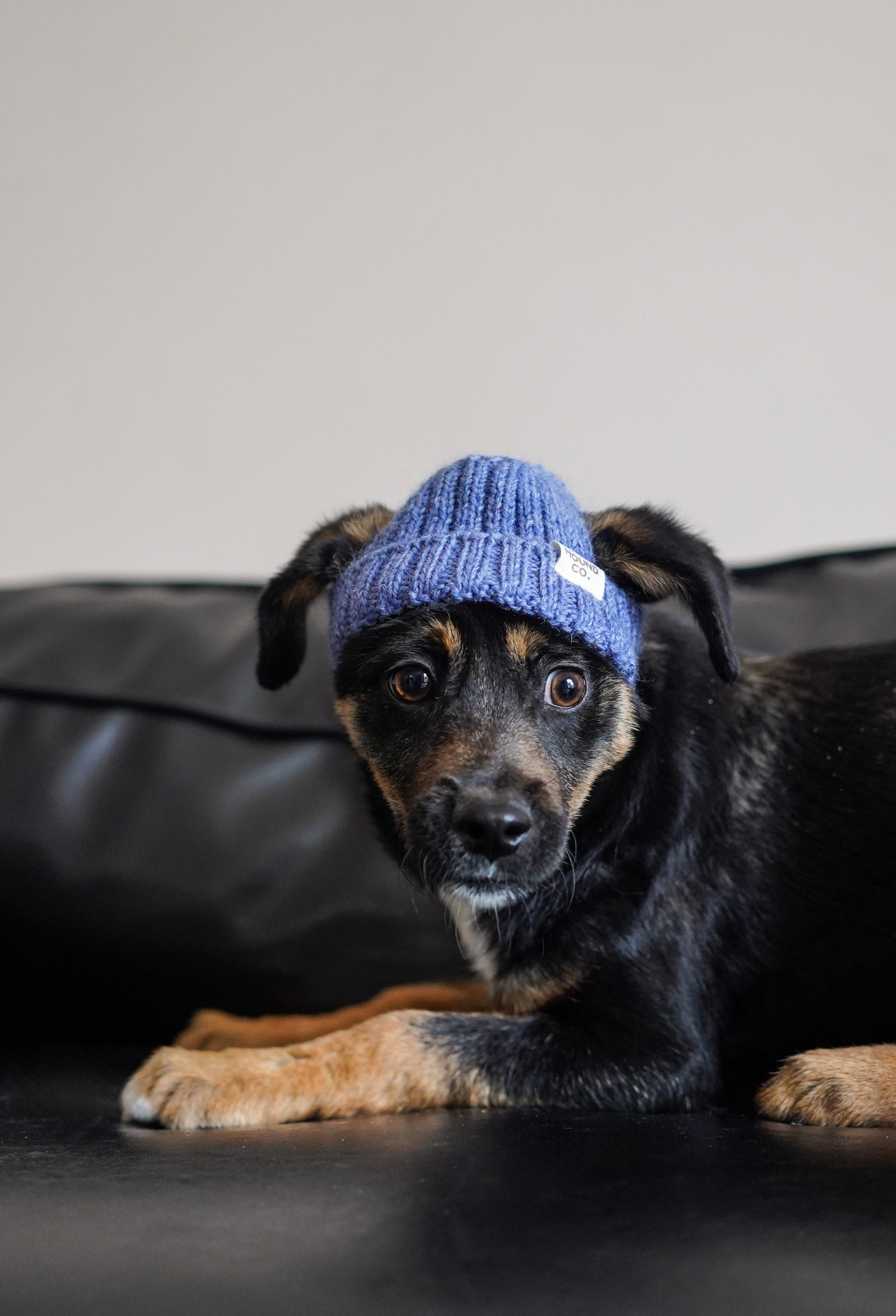 Wool knit hat「French Blue」