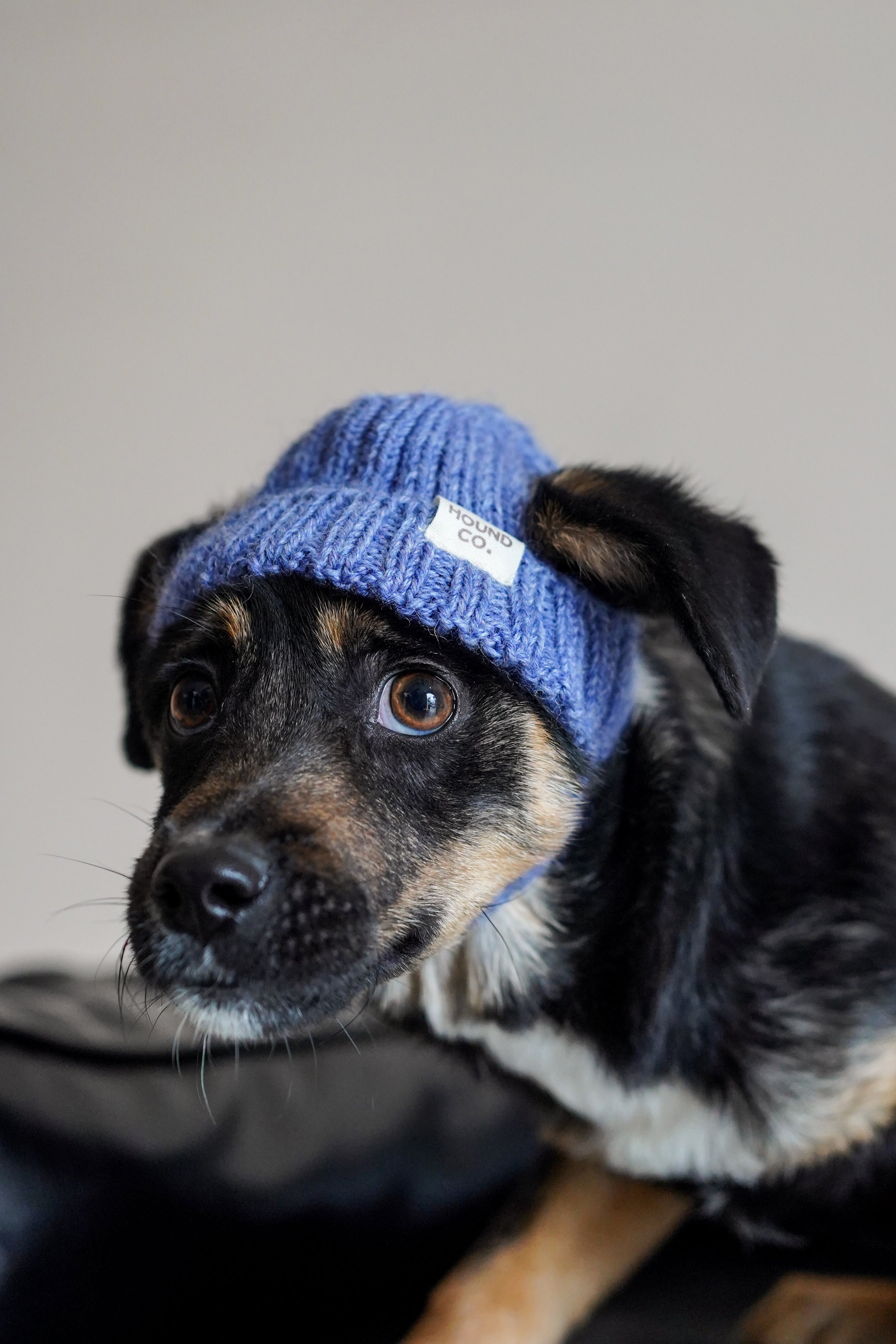 Wool knit hat「French Blue」