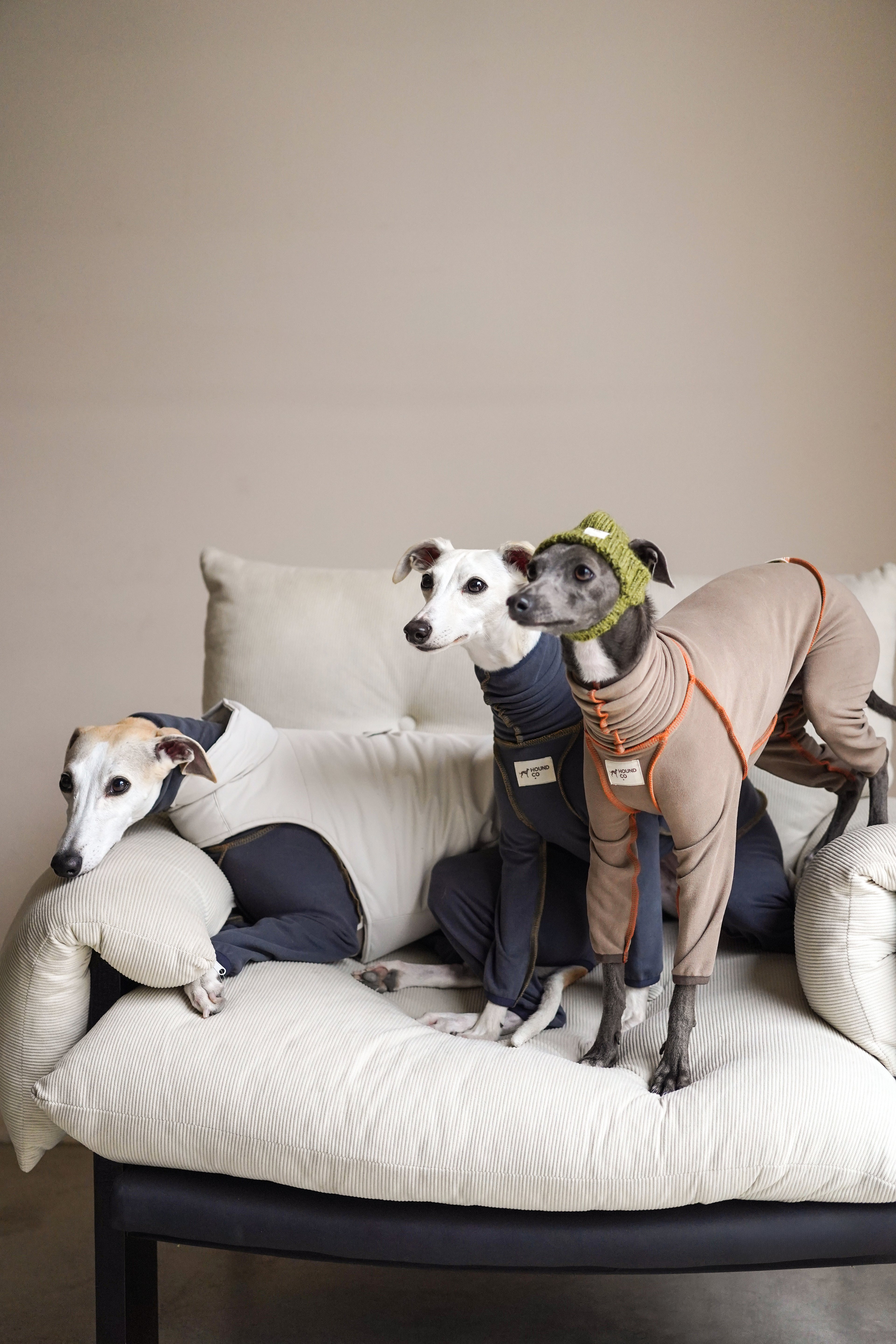 Easy on puffer for all breeds
