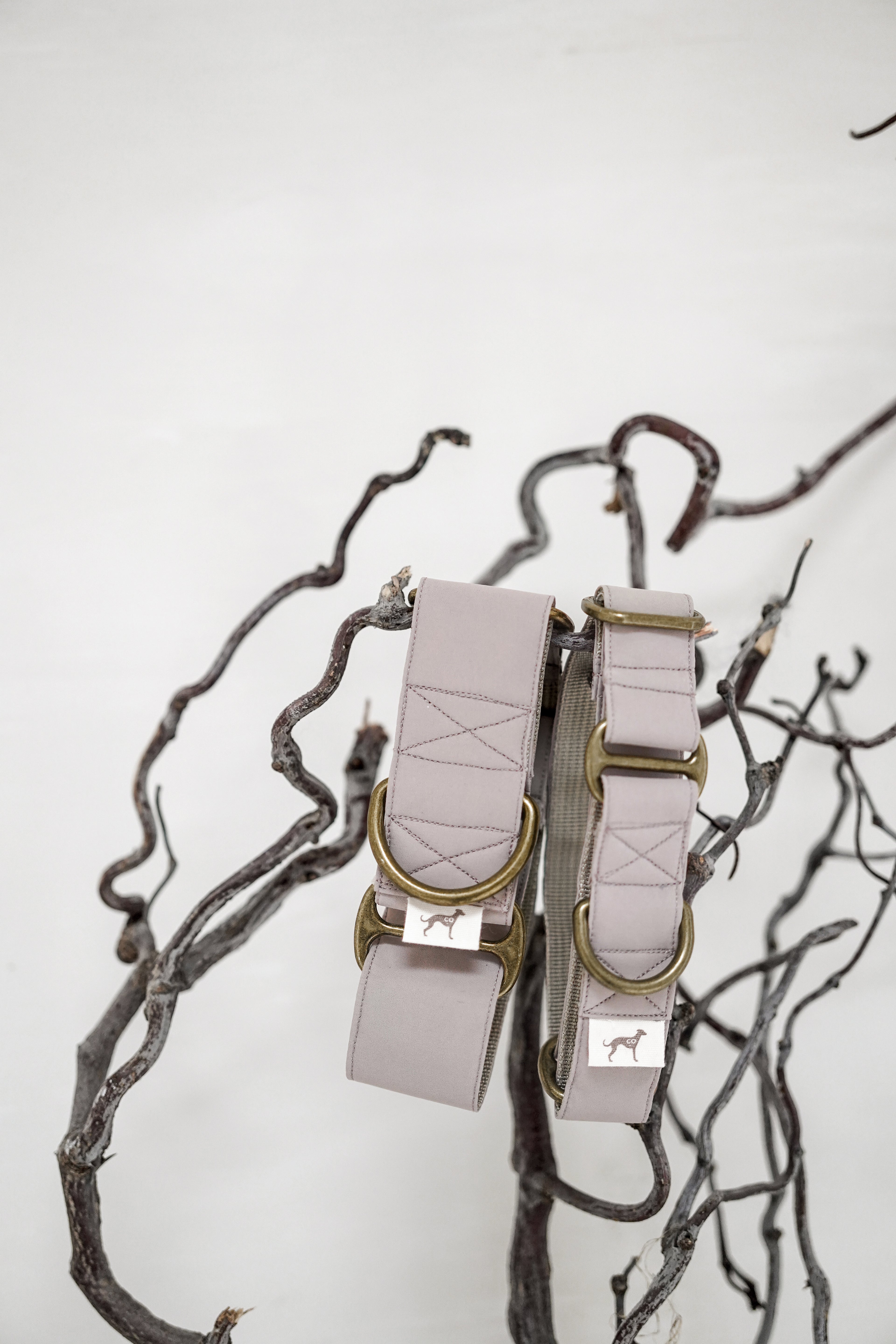 Everyday Martingale Collar