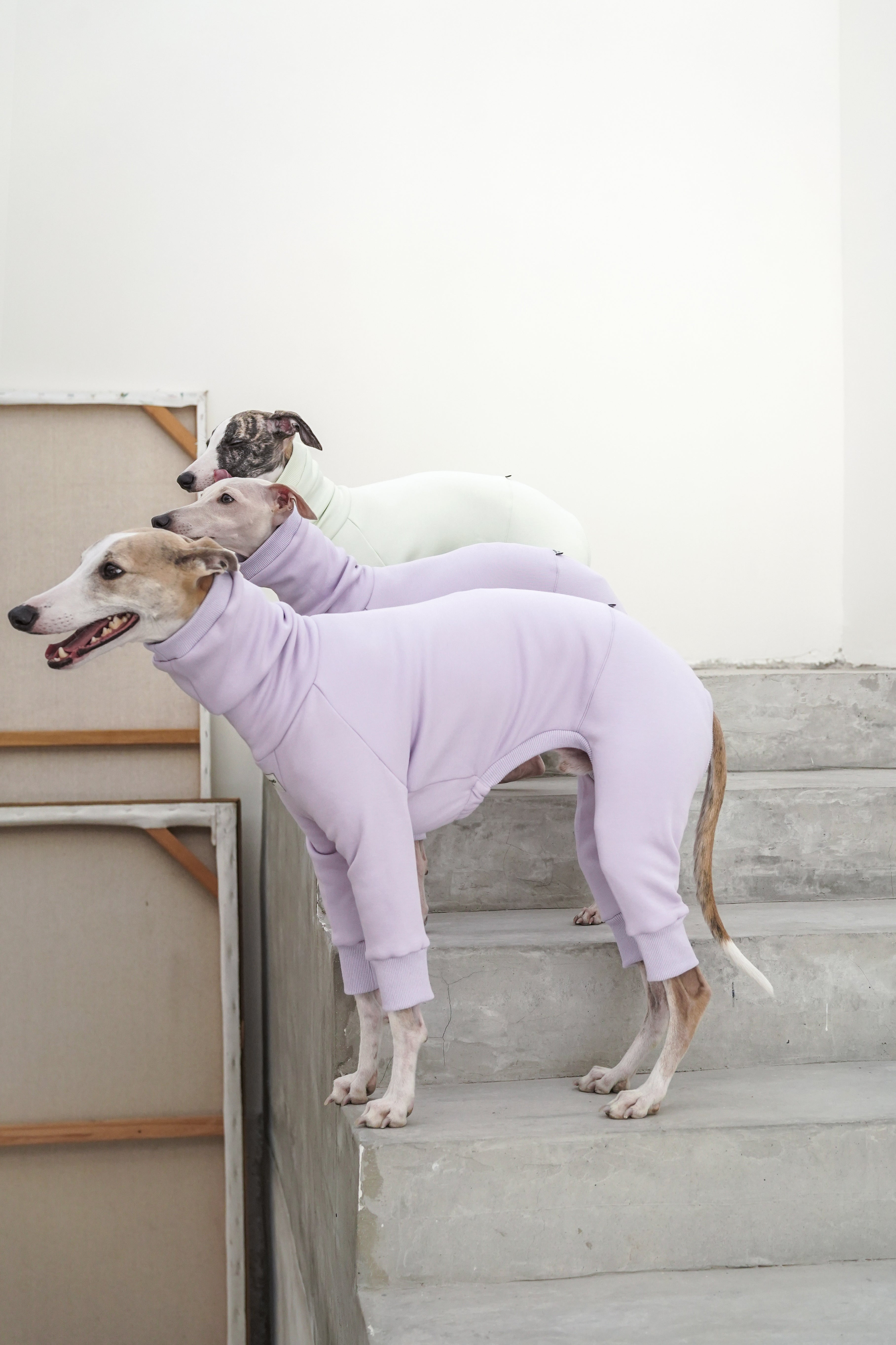 Sighthound Fleeced Onsie Lilac