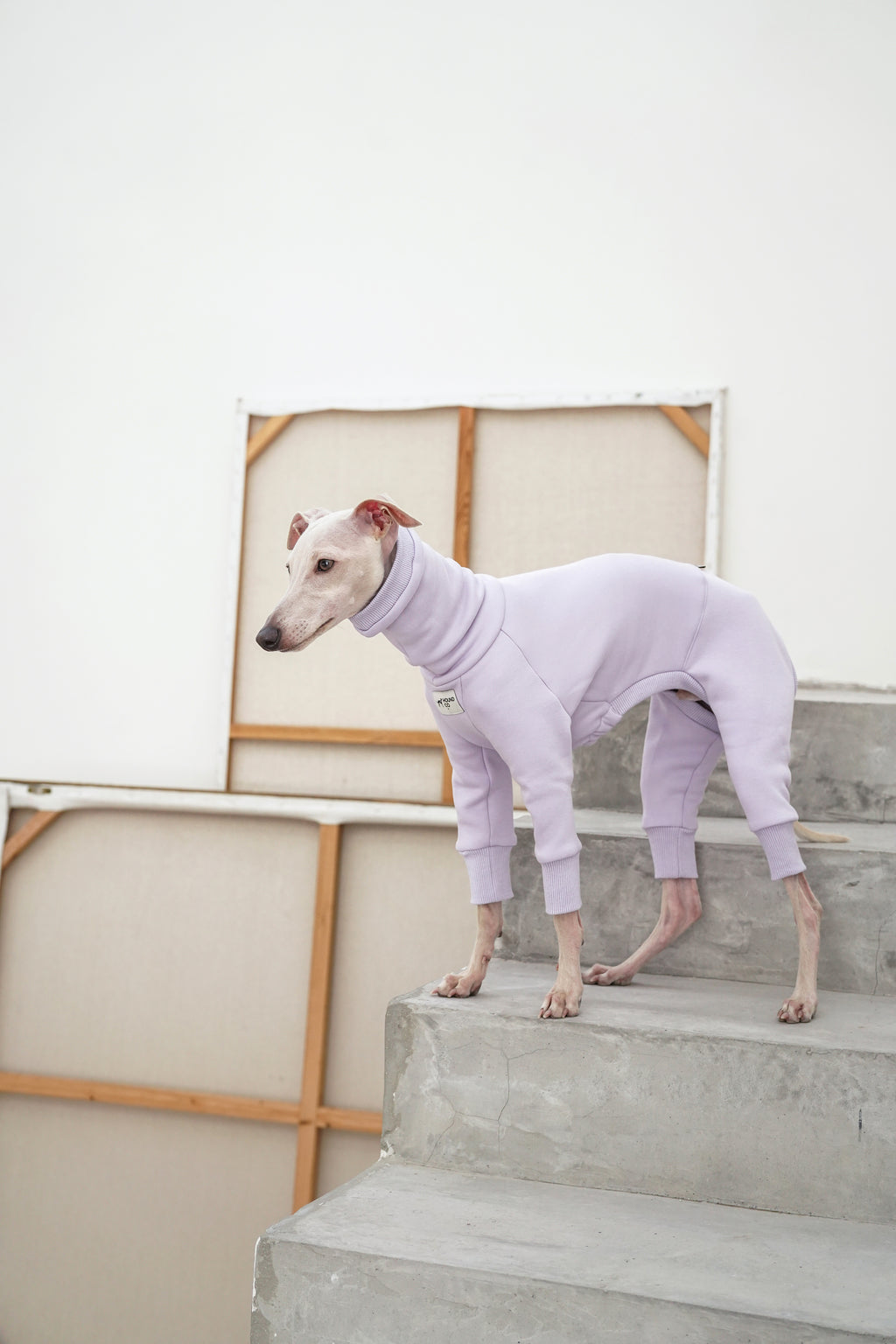Sighthound Fleeced Onsie Lilac
