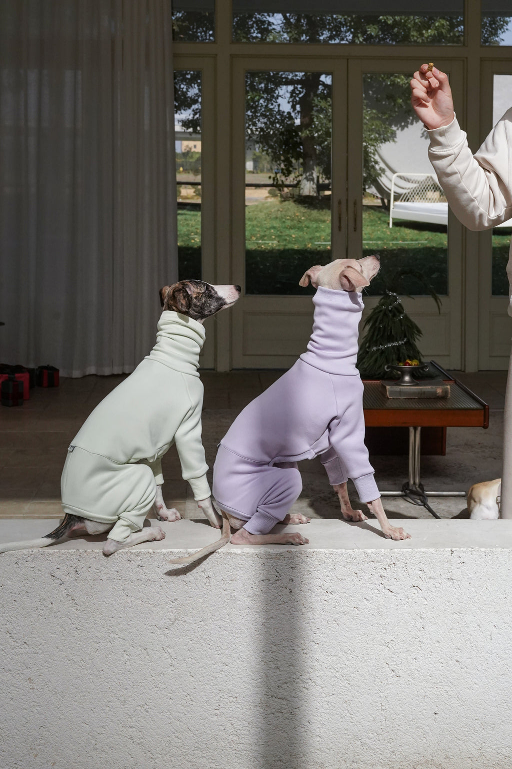 Sighthound Fleeced Onsie Lilac