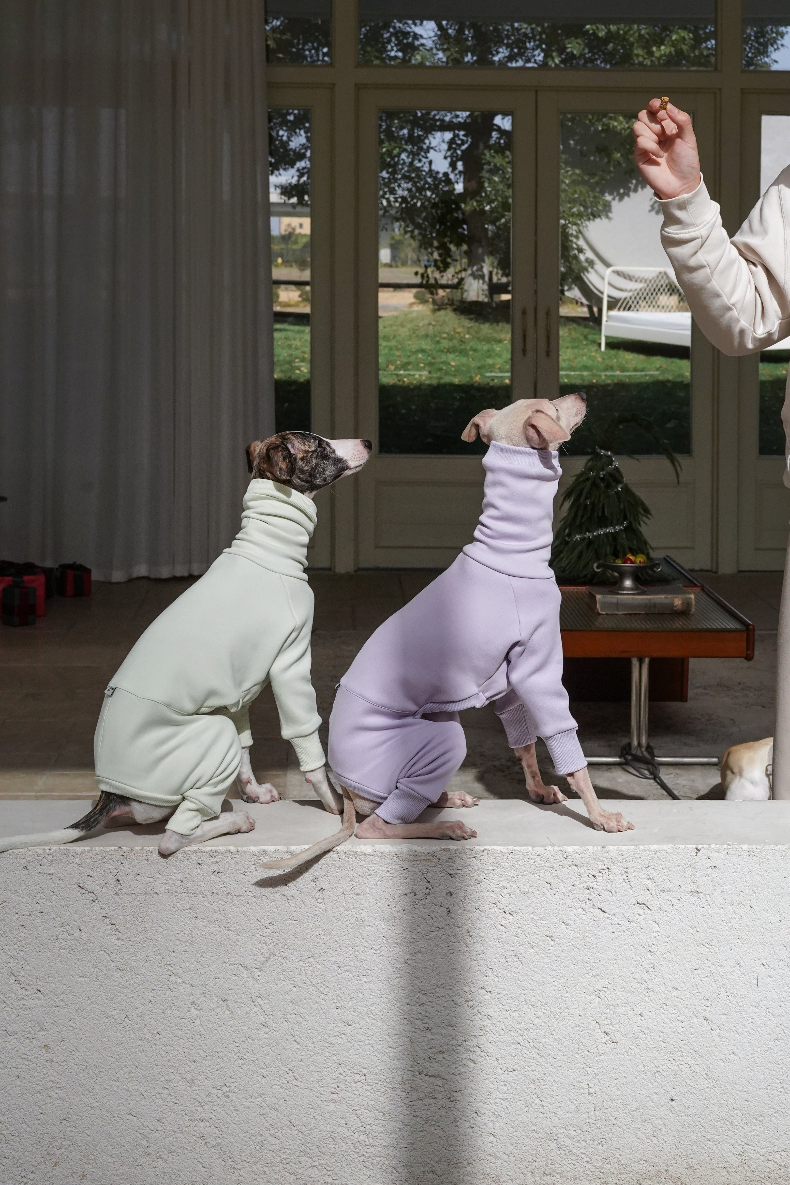 Sighthound Fleeced Onsie Lilac