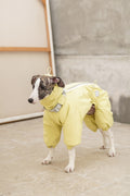 Snow Suit Daisy