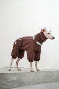 Snow Suit Acorn