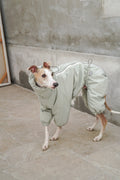 Snow Suit Sage