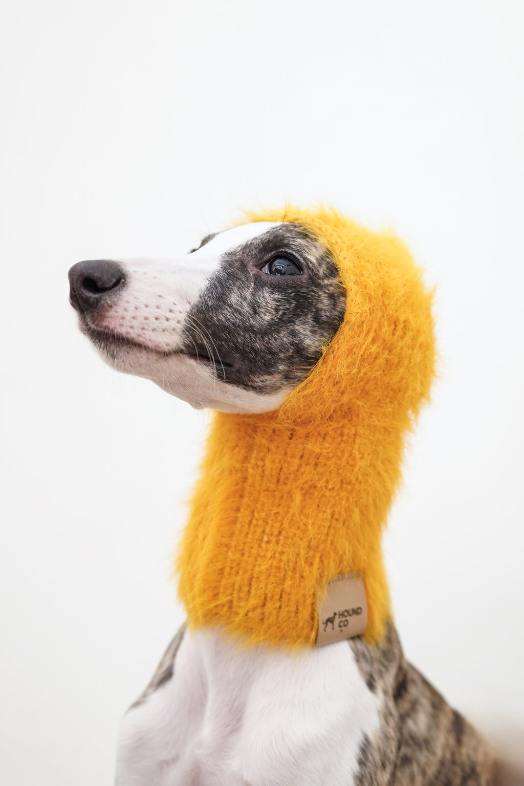 Balaclava「Mango」