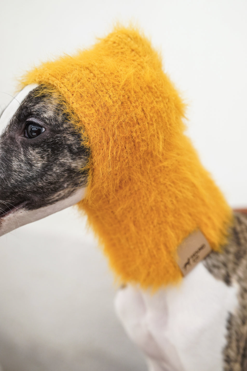 Balaclava「Mango」