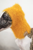 Balaclava「Mango」