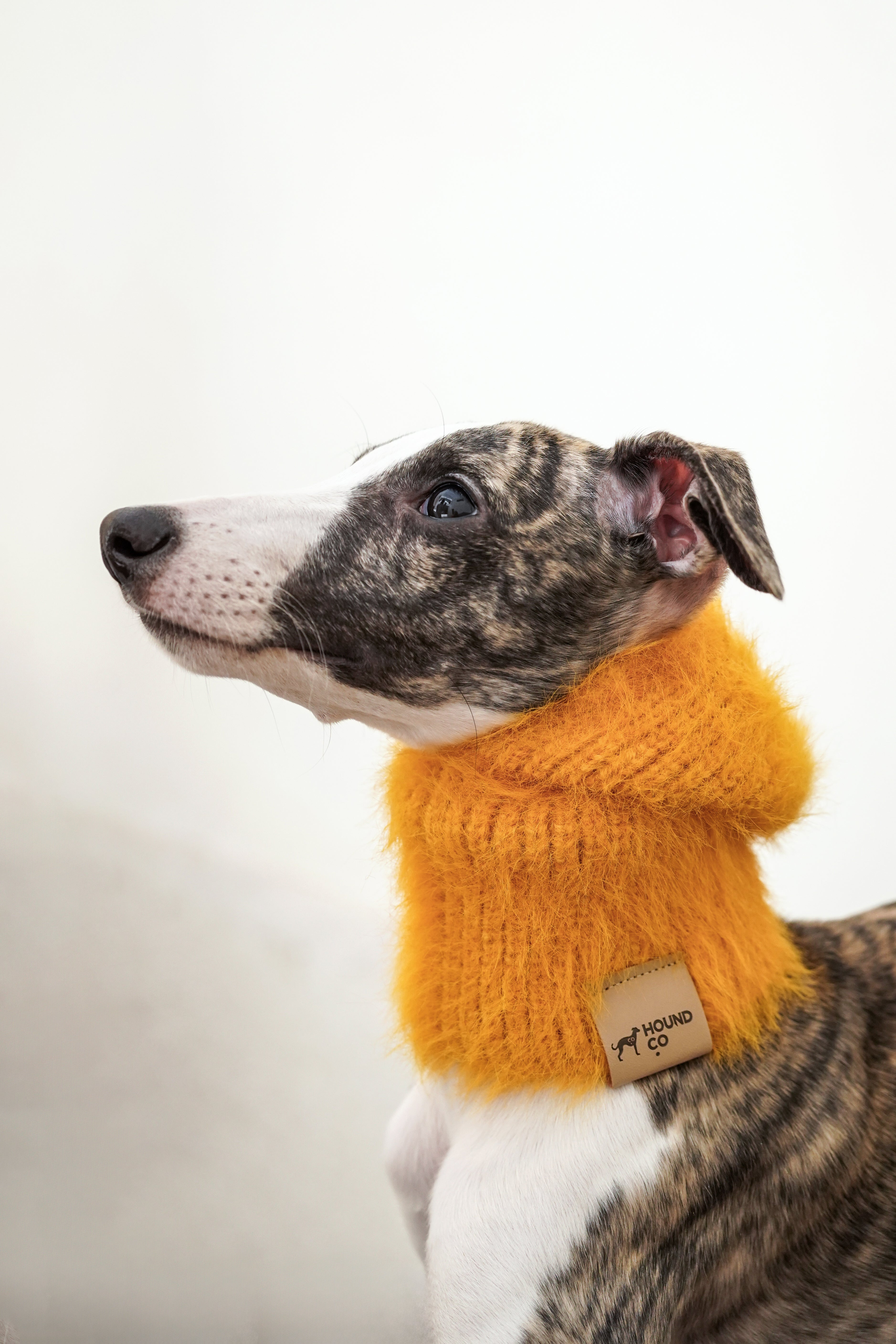 Balaclava「Mango」