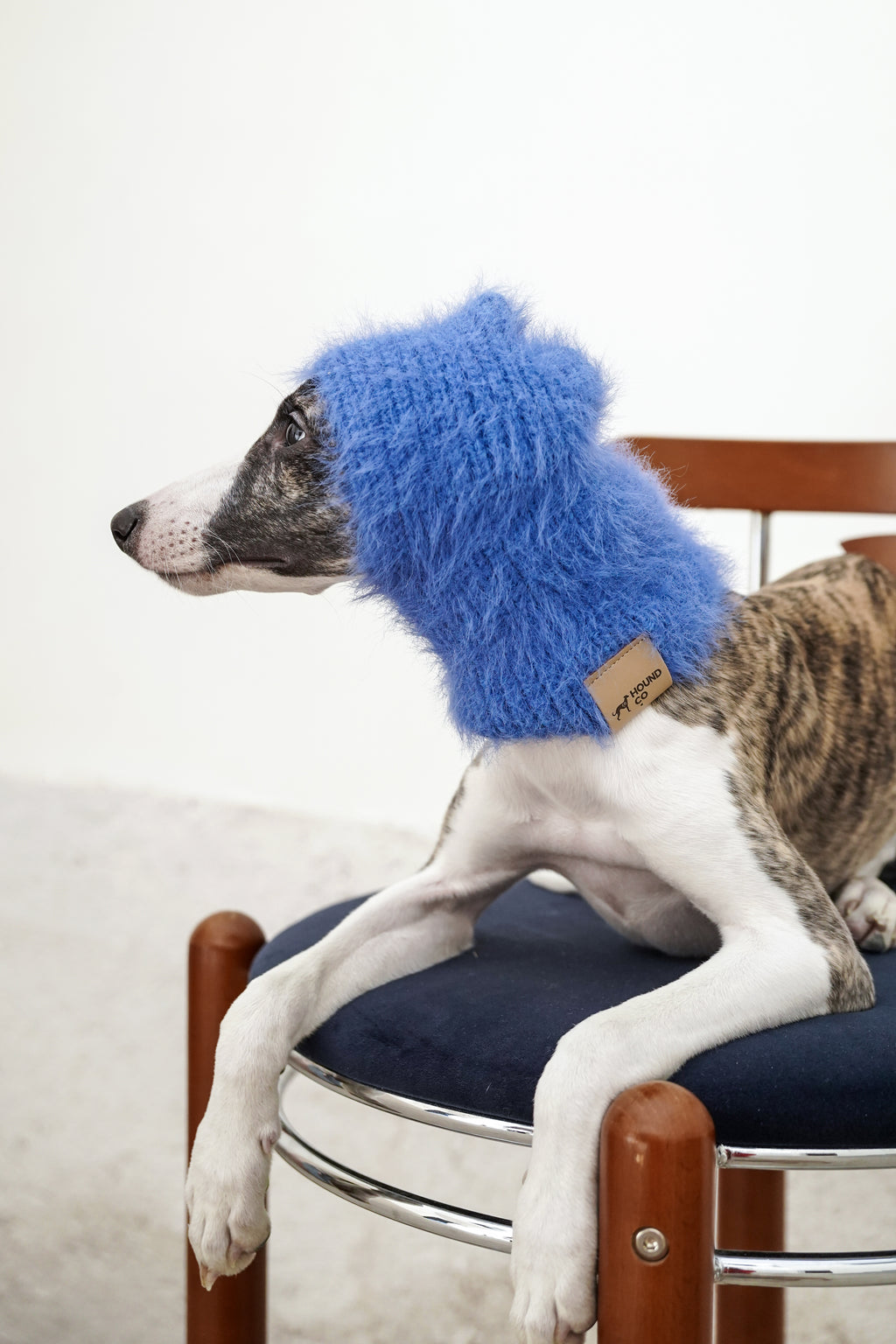 Balaclava「Bonny Blue」