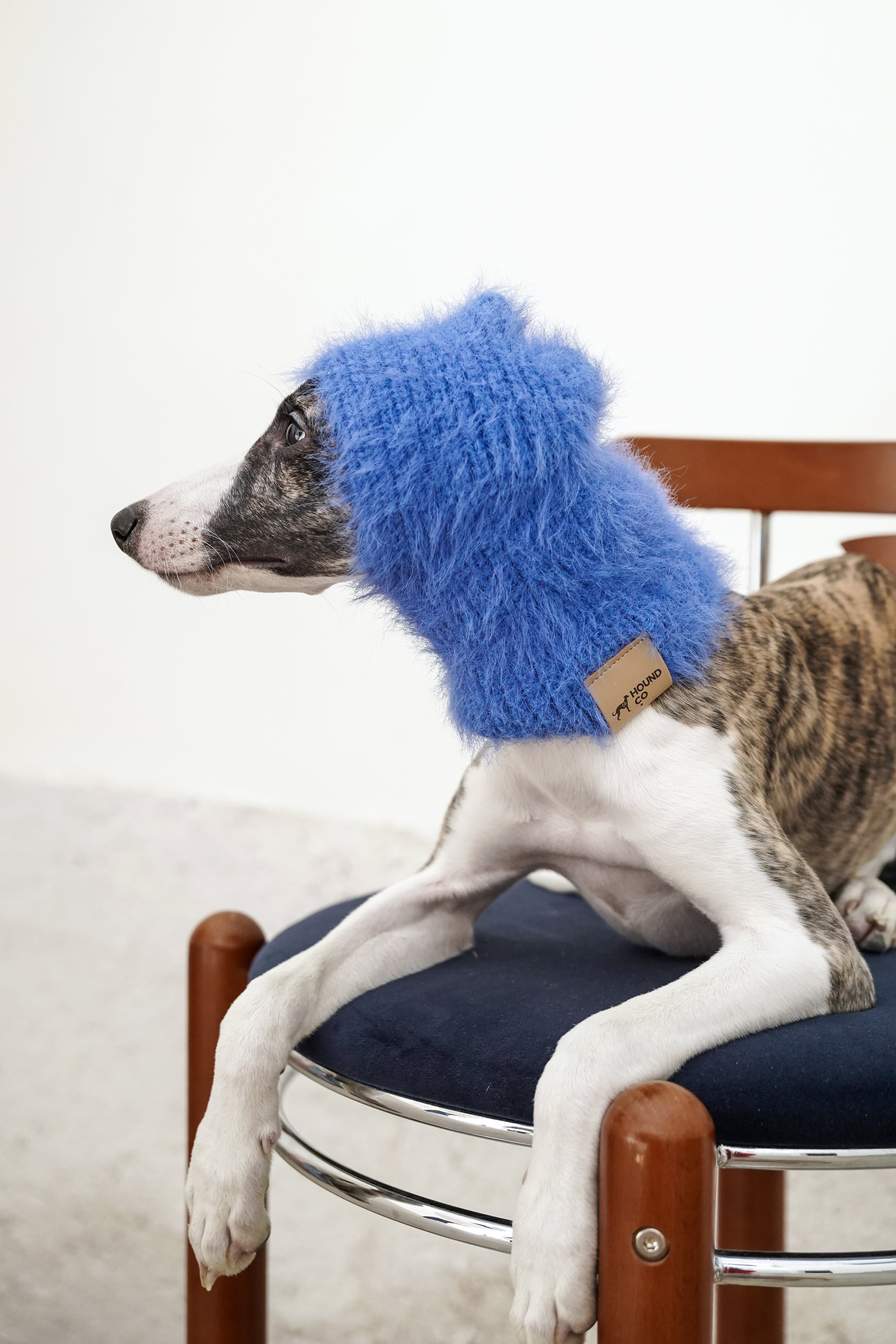 Balaclava「Bonny Blue」