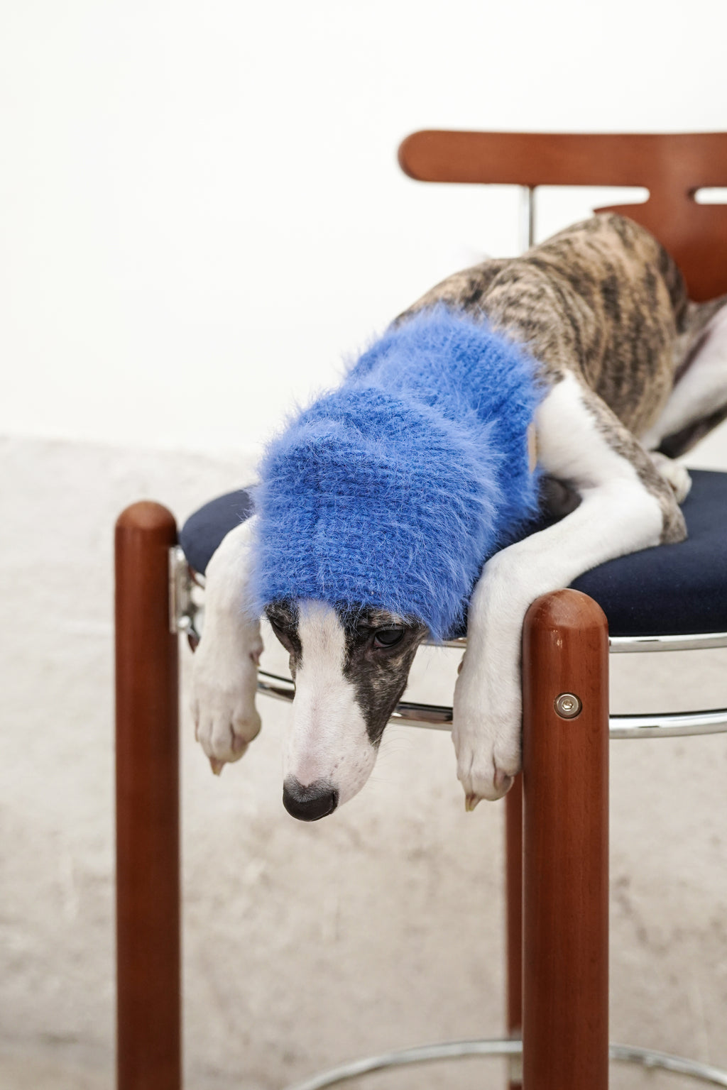 Balaclava「Bonny Blue」