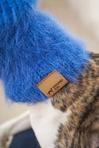 Balaclava「Bonny Blue」